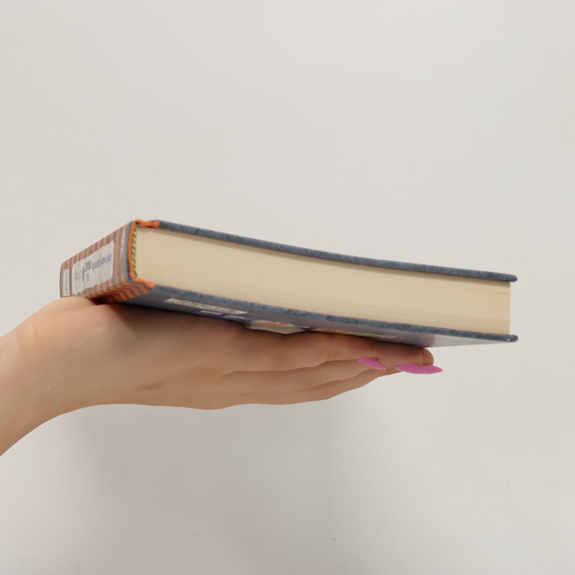 Jeff Kinney Deník malého poseroutky 14. Na spadnutí