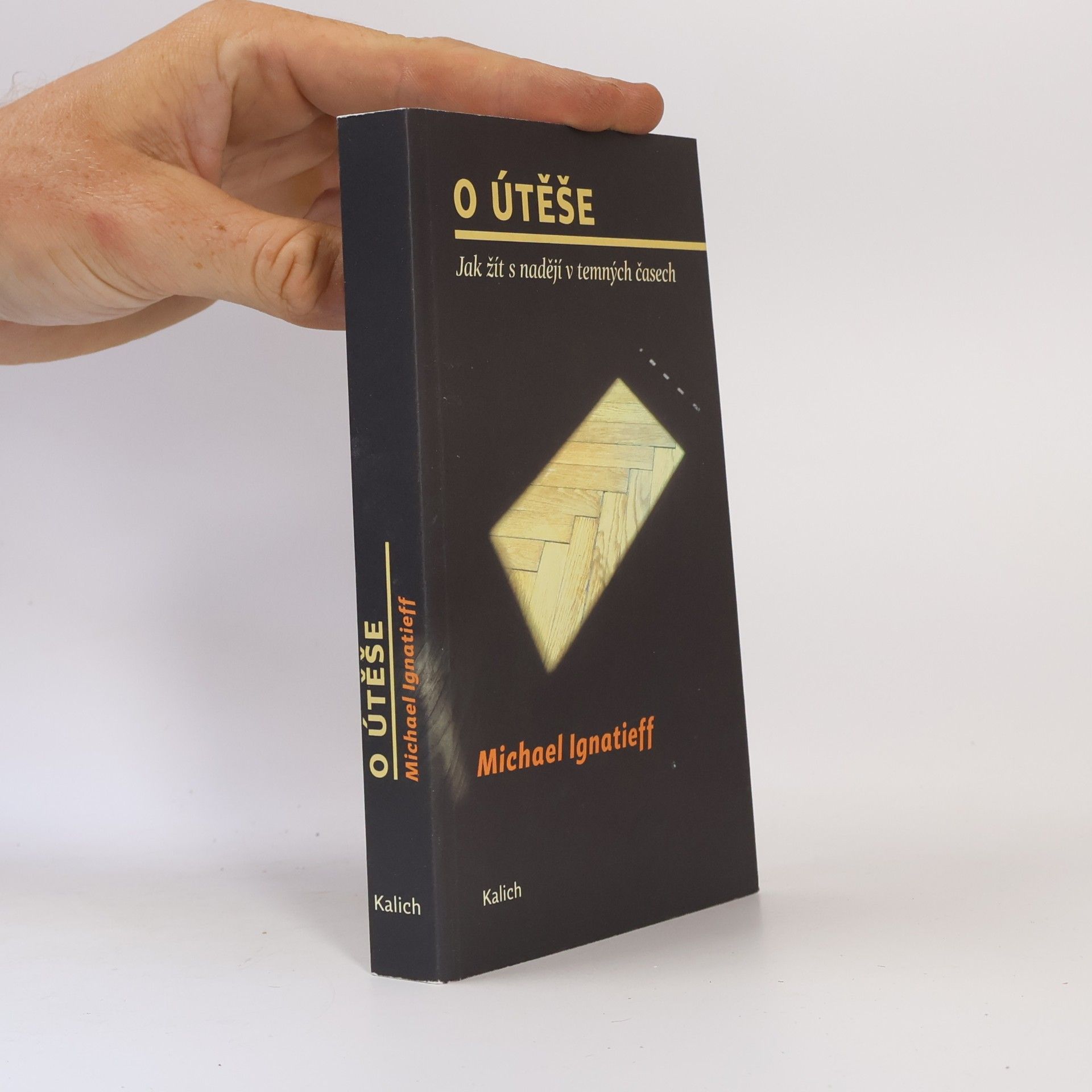 Michael Ignatieff O útěše