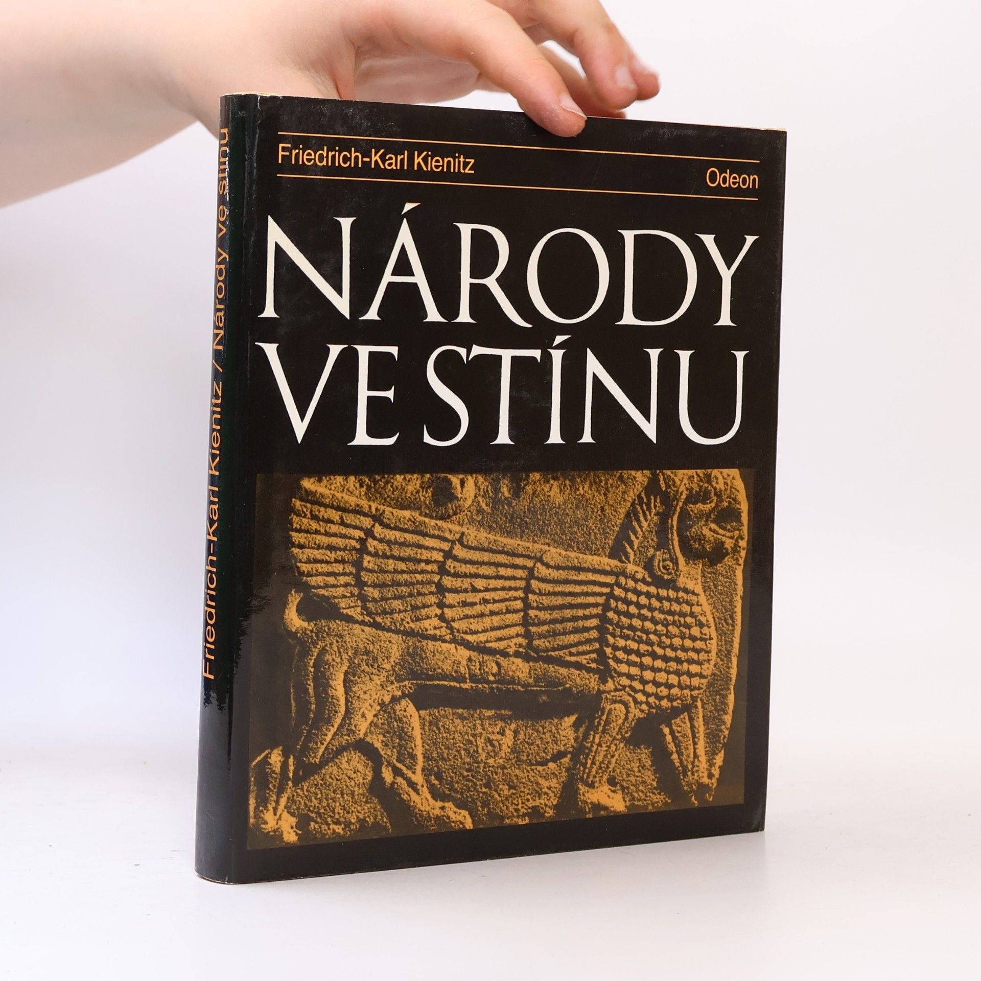 Friedrich Karl Kienitz Národy ve stínu