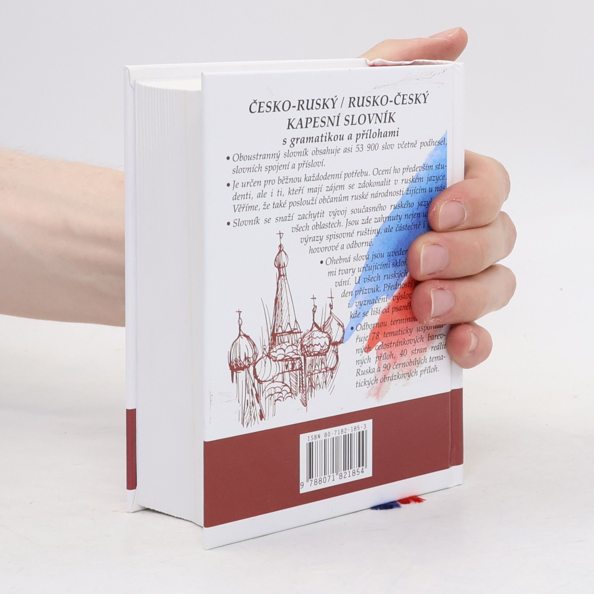 Marie Steigerová Česko-ruský, rusko-český kapesní slovník: S gramatikou a přílohami