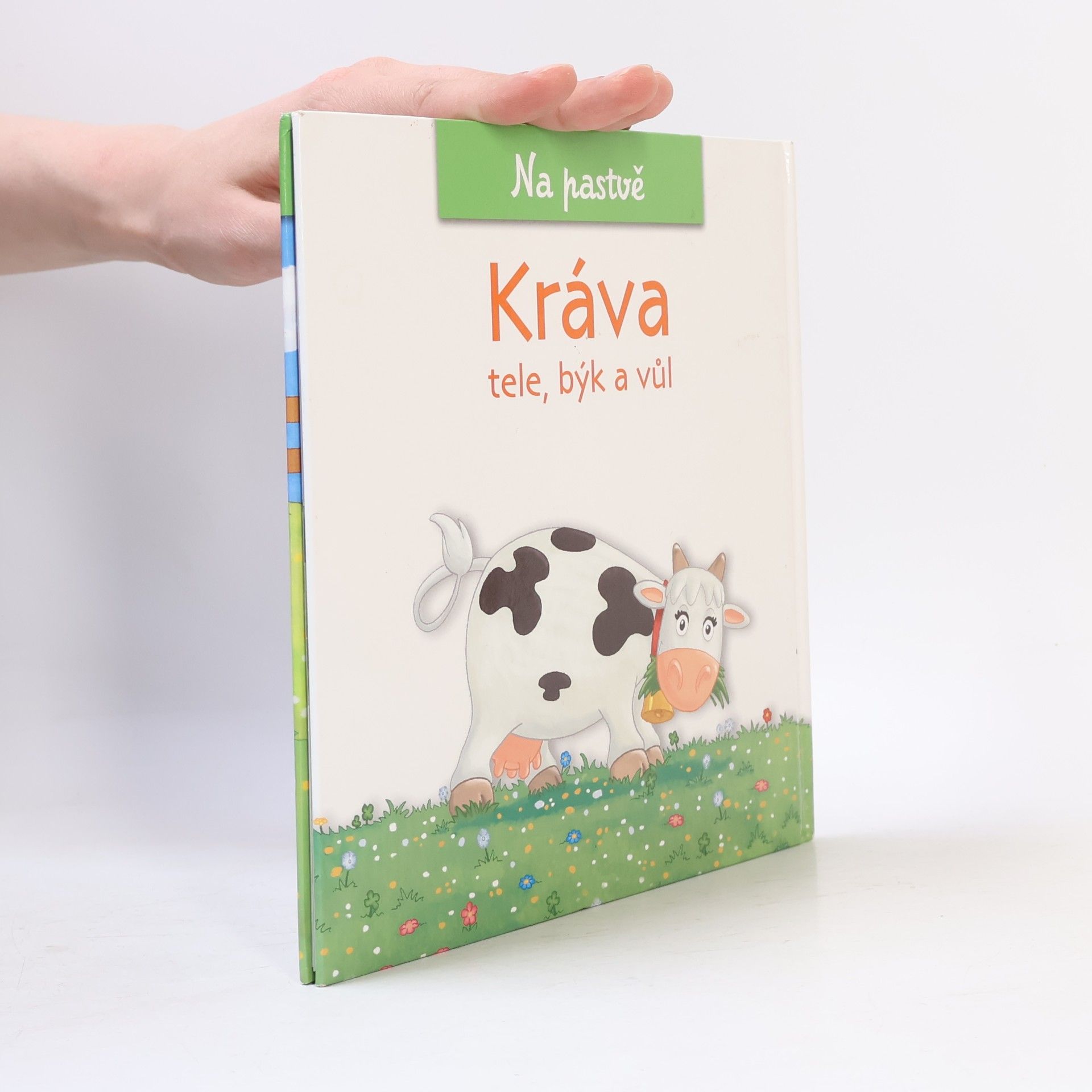 Christine Serbource Kráva, tele, býk a vůl