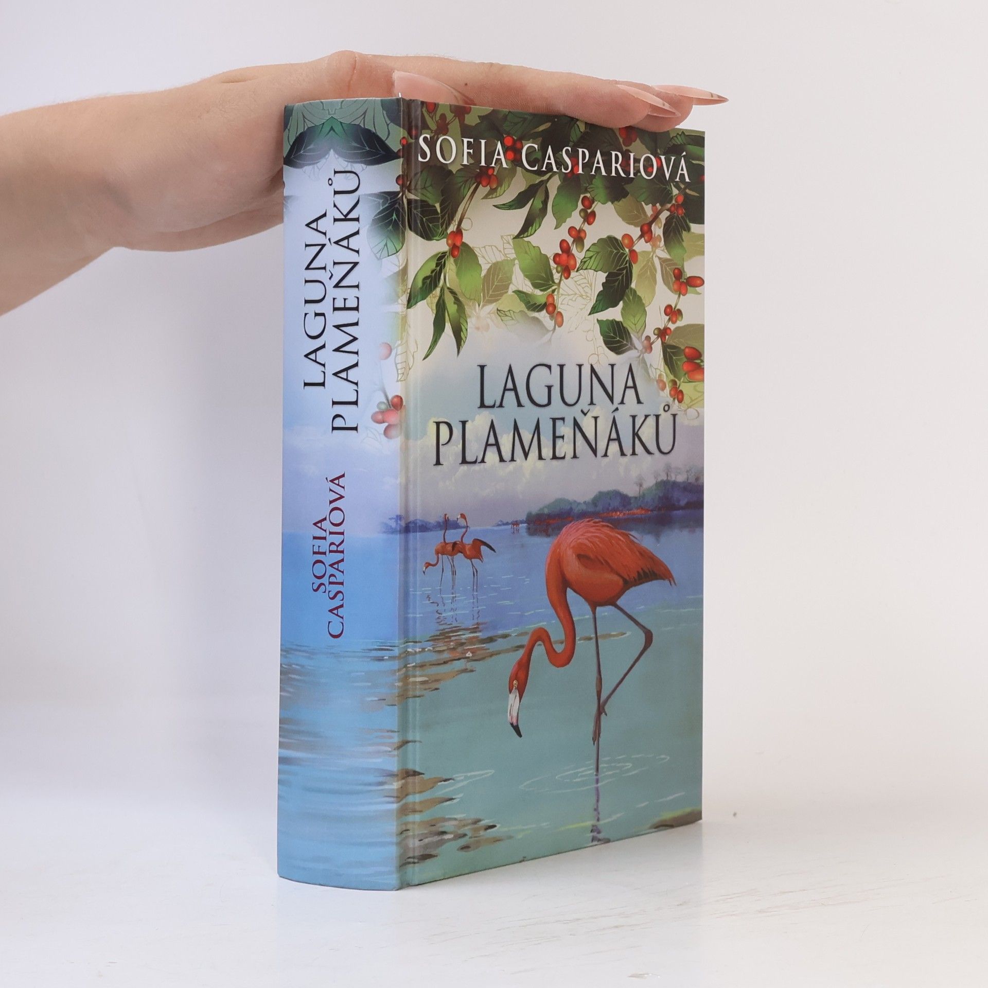 Sofia Caspari Laguna plameňáků