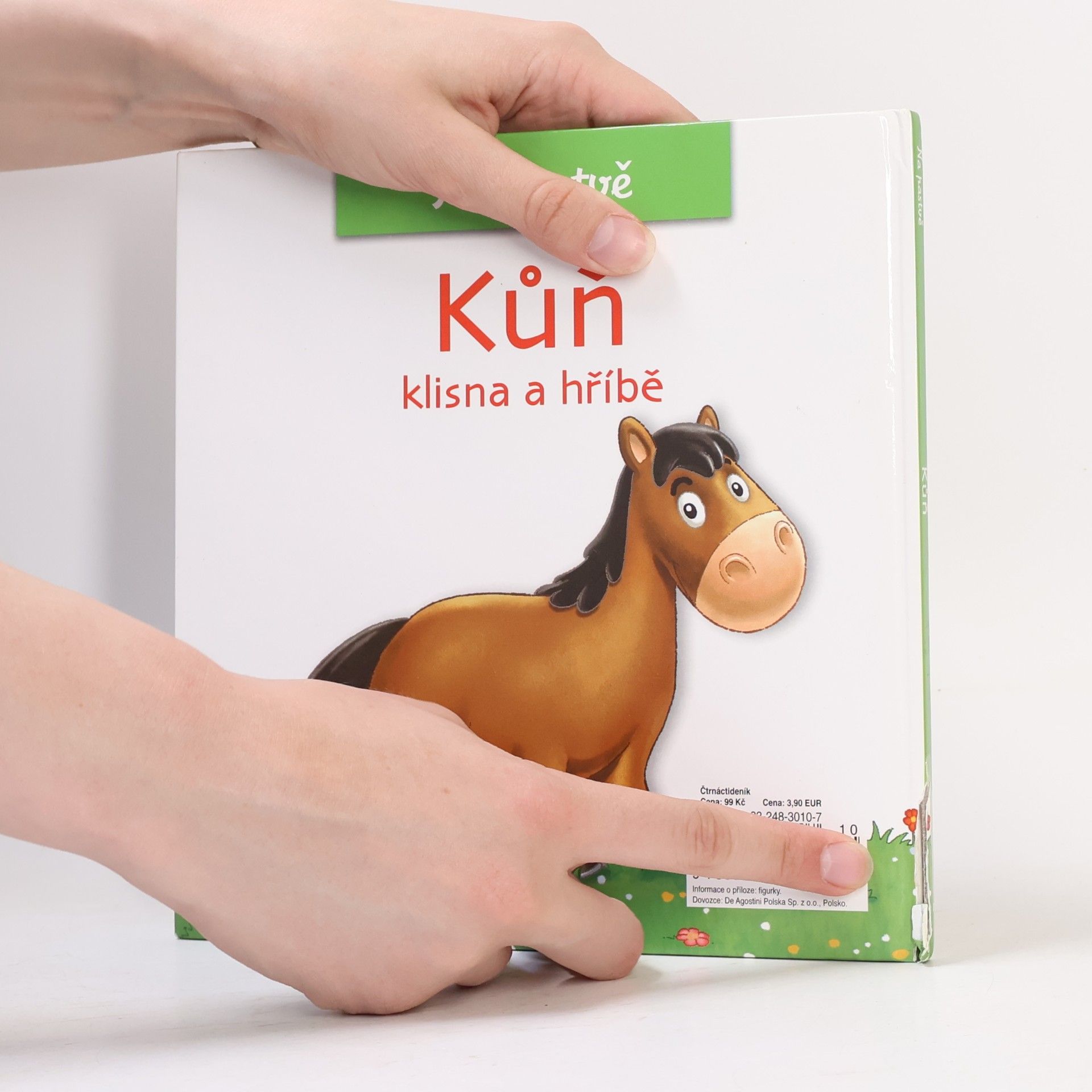 Christine Serbource Kůň, klisna a hříbě