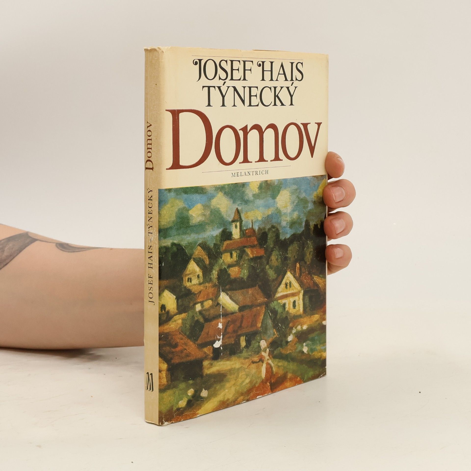 Josef Hais Týnecký Domov