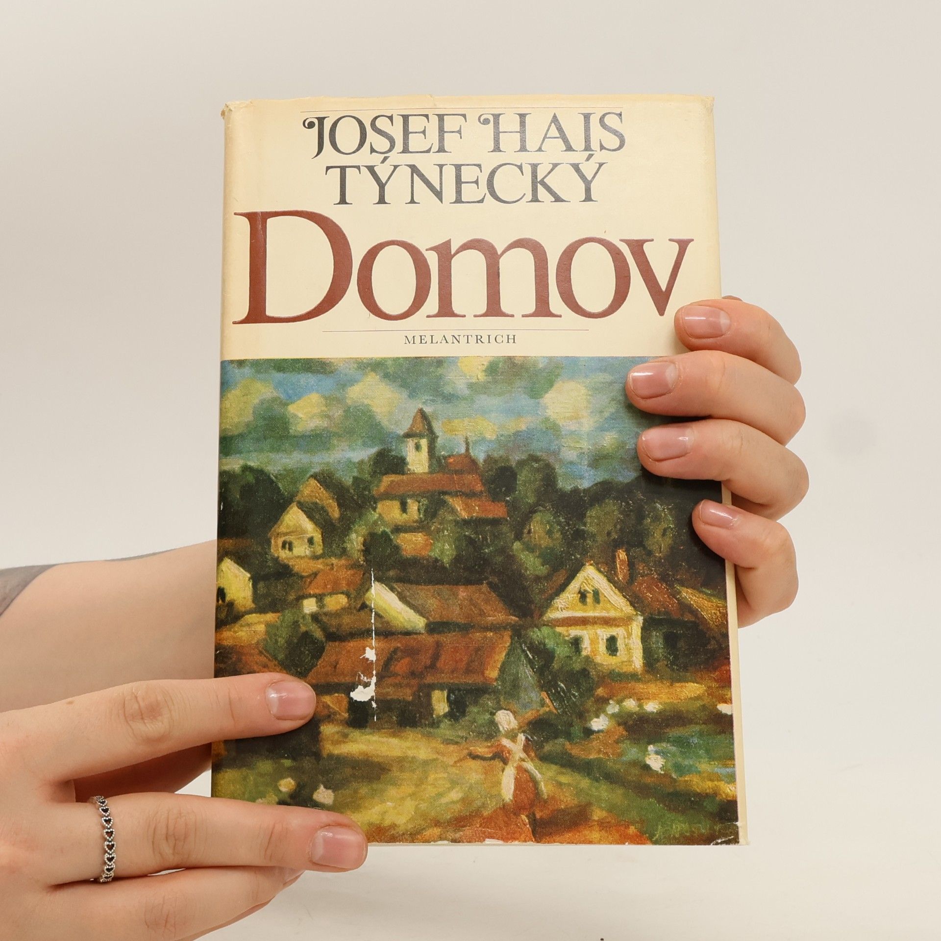 Josef Hais Týnecký Domov