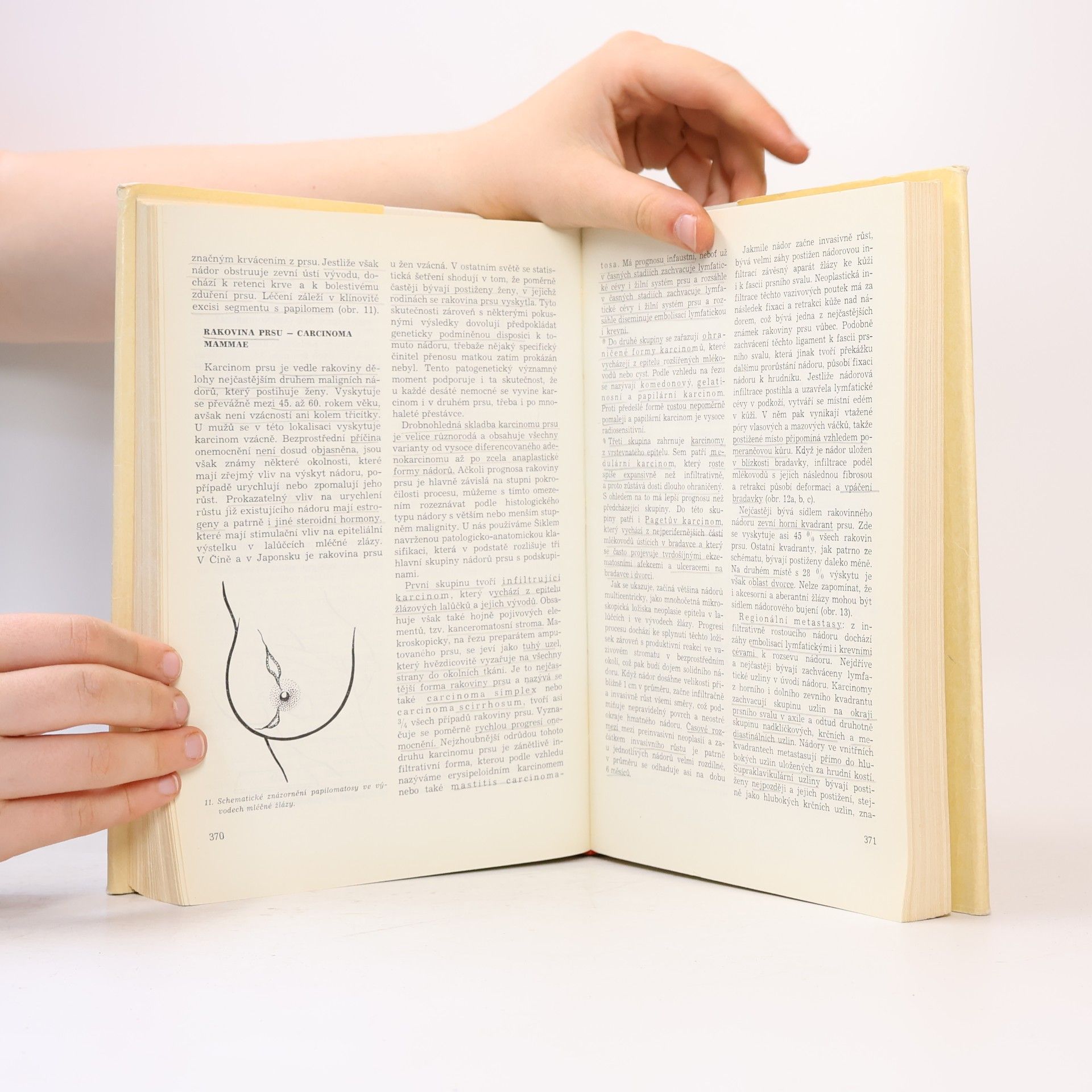Autorenkollektiv Speciální chirurgie I