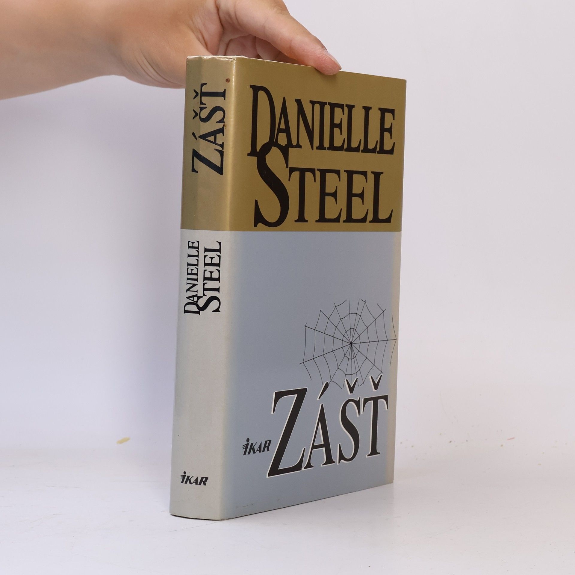 Danielle Steel Zášť
