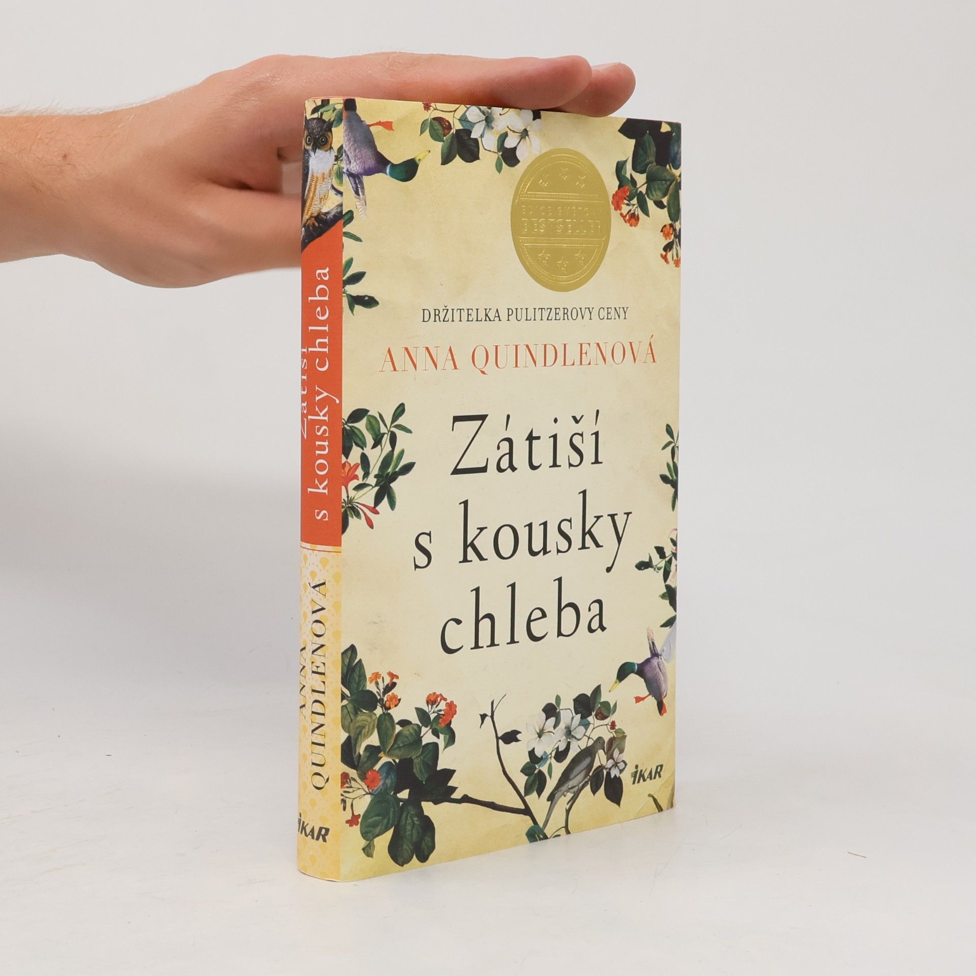 Anna Quindlen Zátiší s kousky chleba