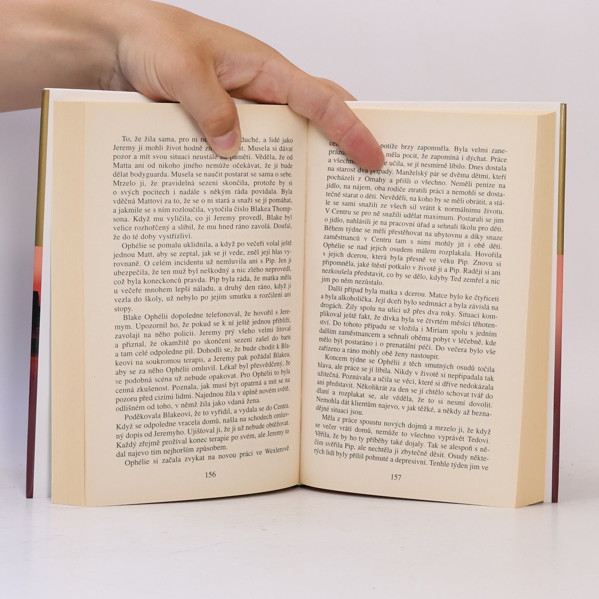 Danielle Steel Přístav bezpečí