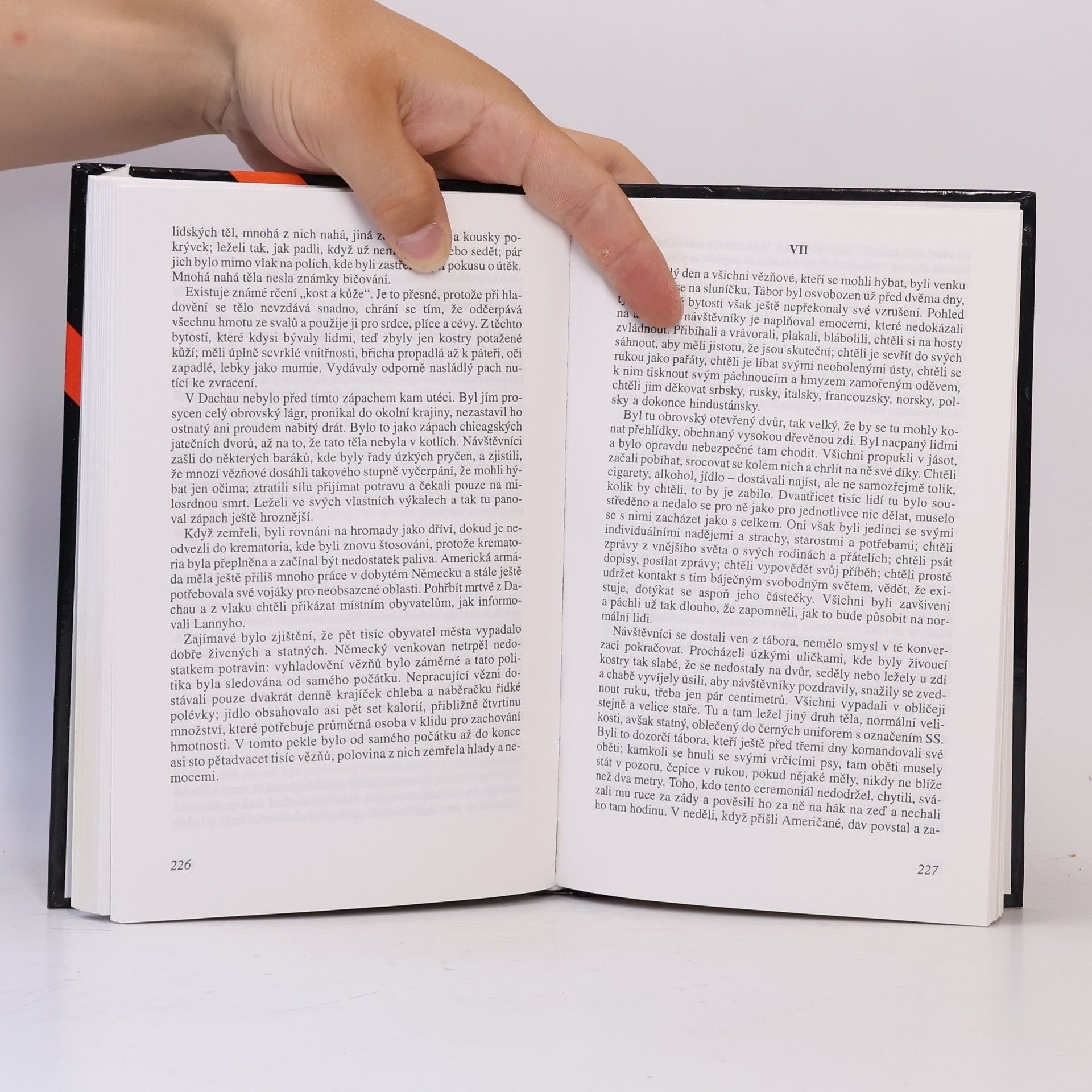 Upton Sinclair Pastýřův hlas, část 1