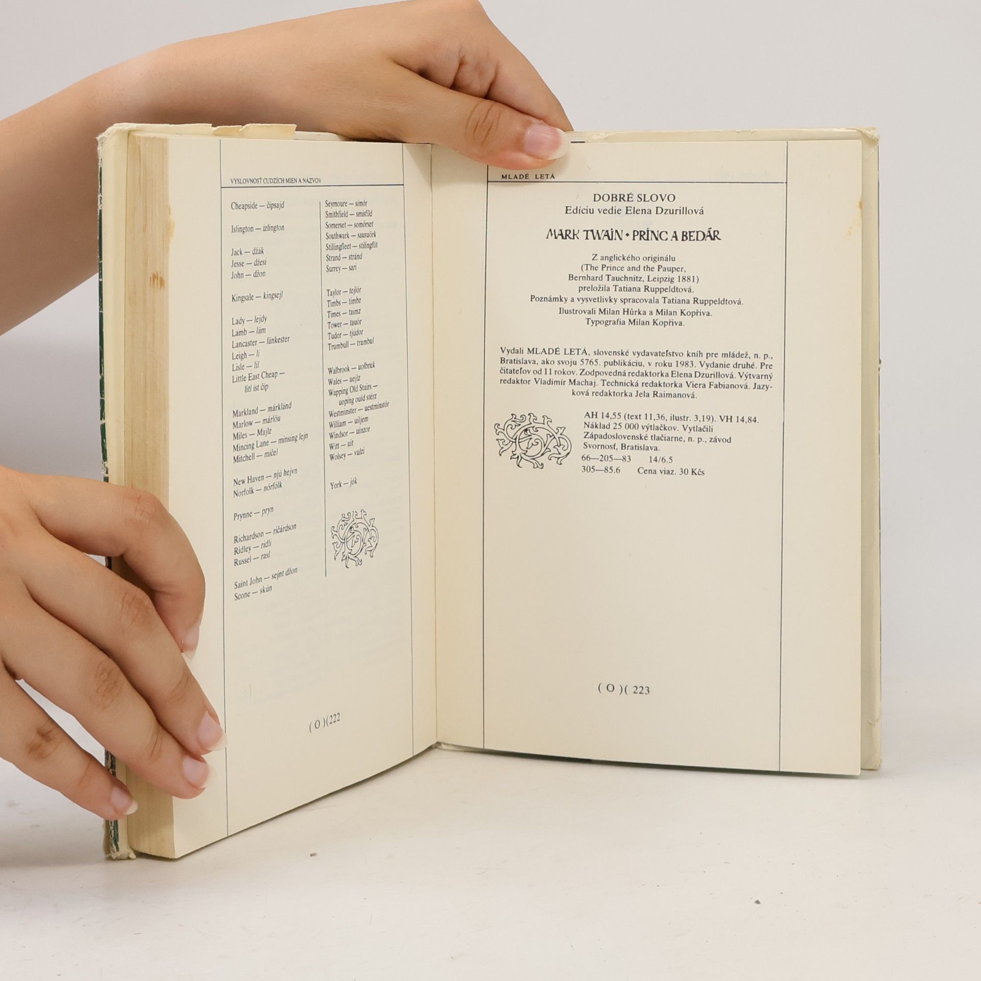 Mark Twain Princ a bedár