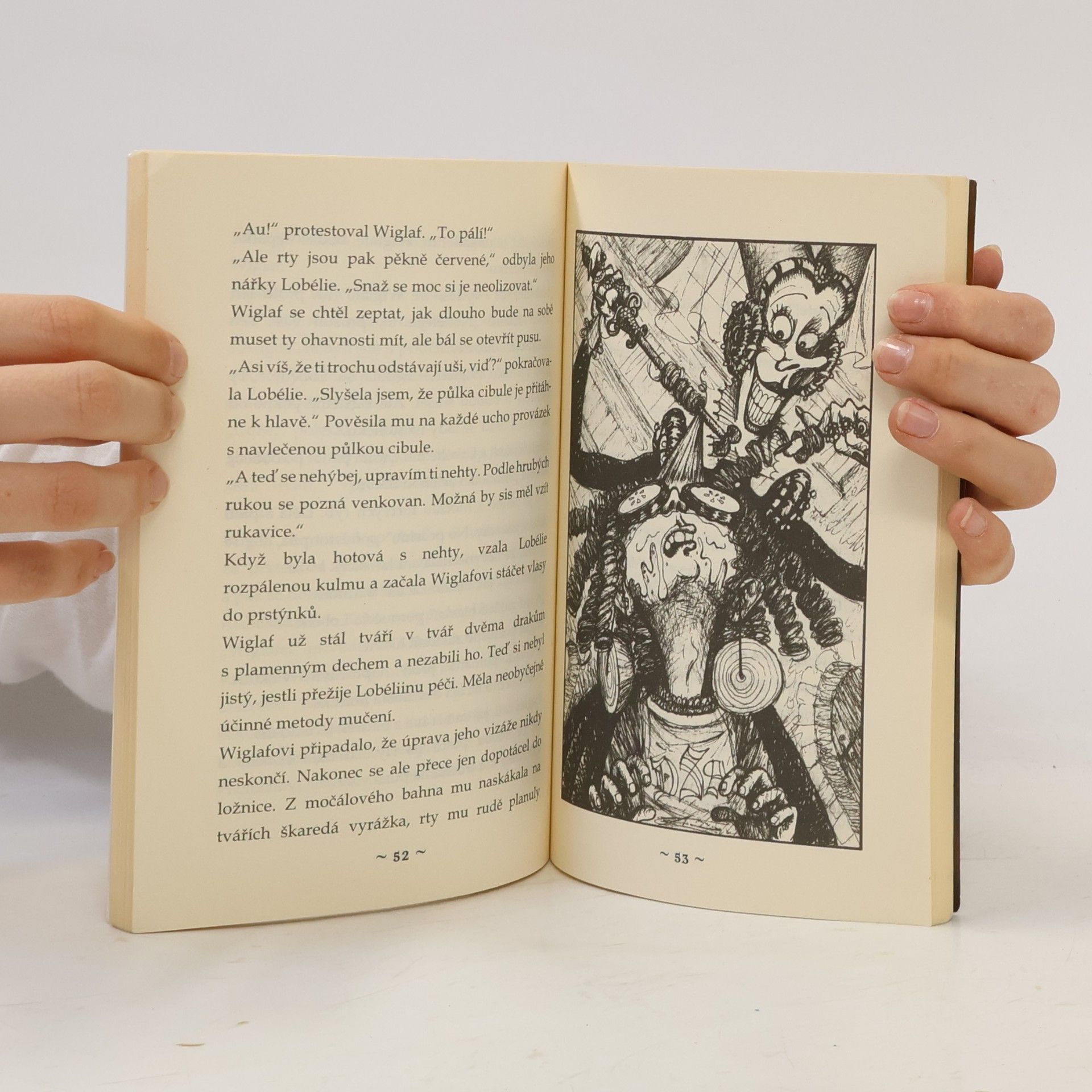 Kate MacMullan Drakobijecká akademie 4: Wiclaf se žení?