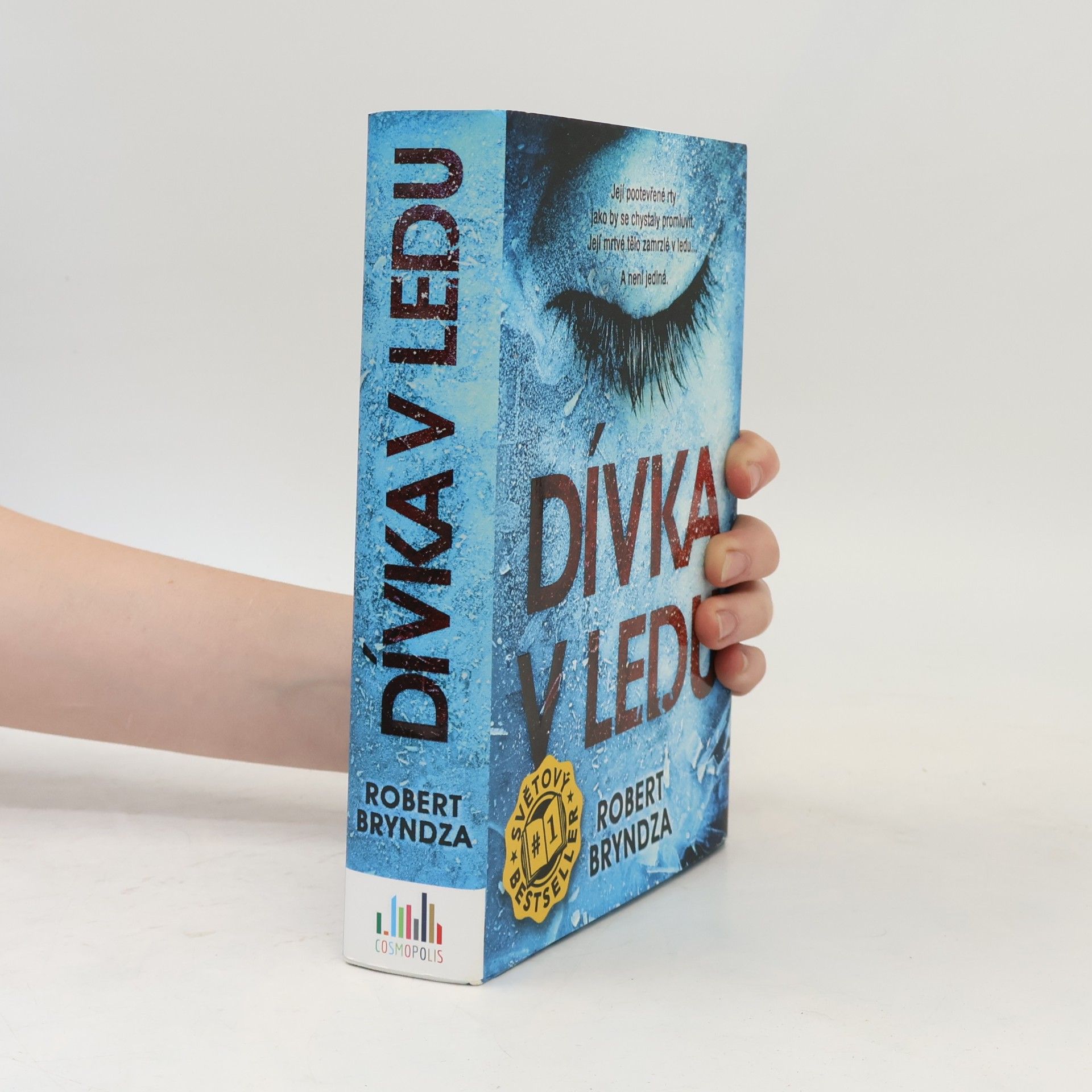 Robert Bryndza Dívka v ledu