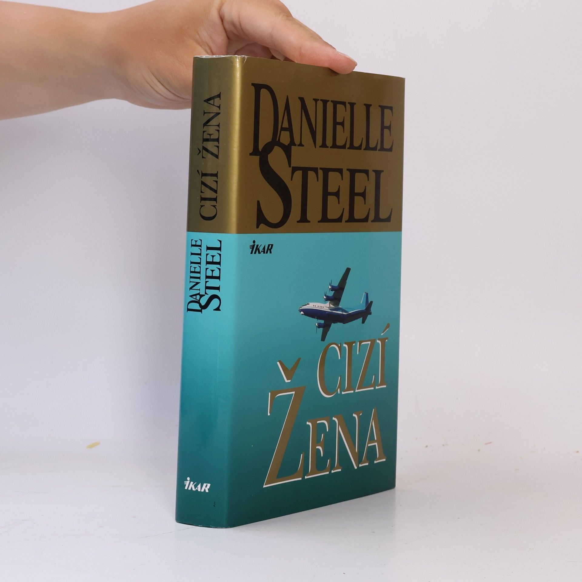 Danielle Steel Cizí žena