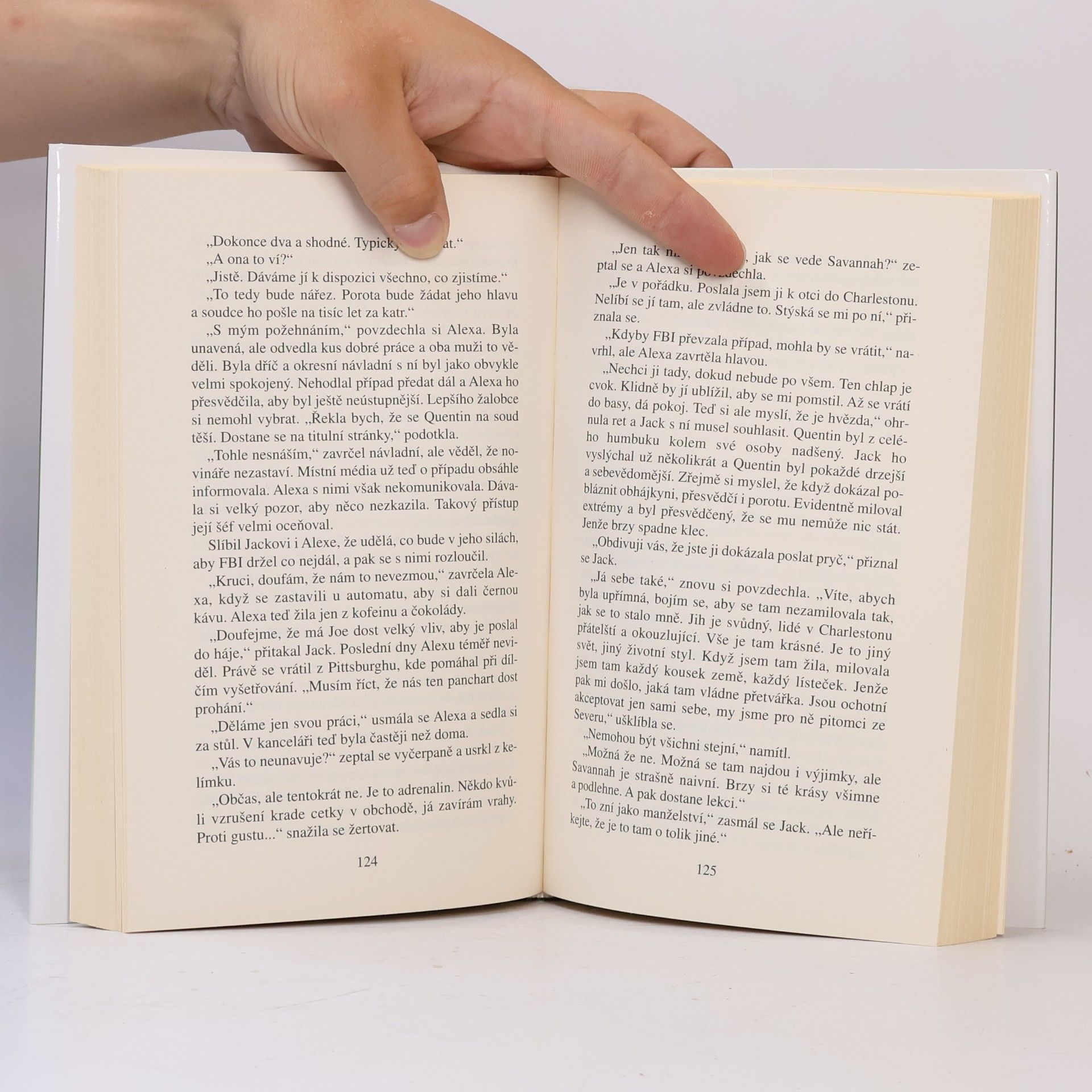 Danielle Steel Světla Jihu