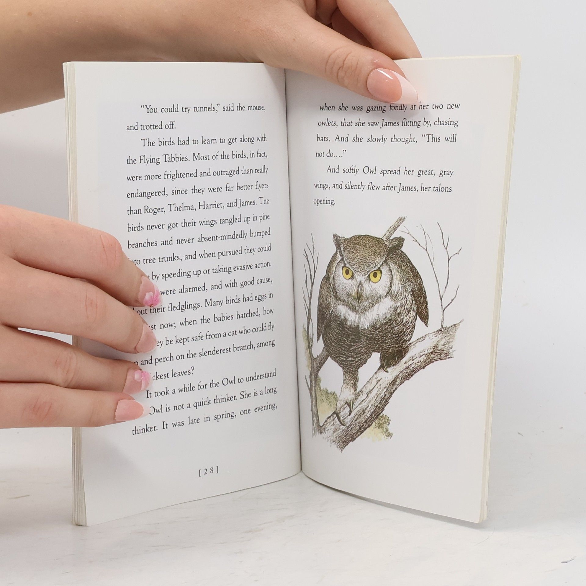 Ursula K. Le Guin A Catwings Tale: Catwings