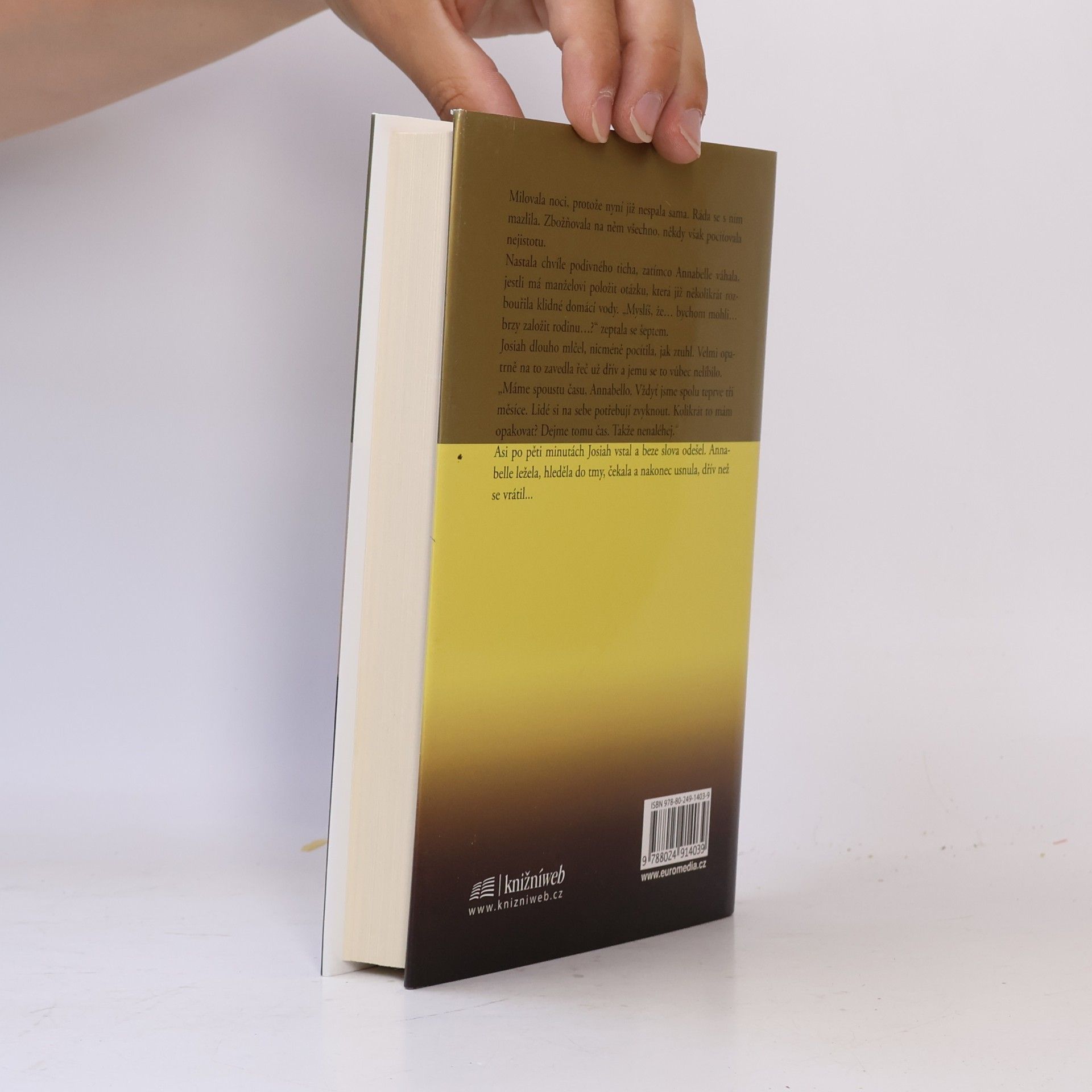Danielle Steel Šlechetná žena