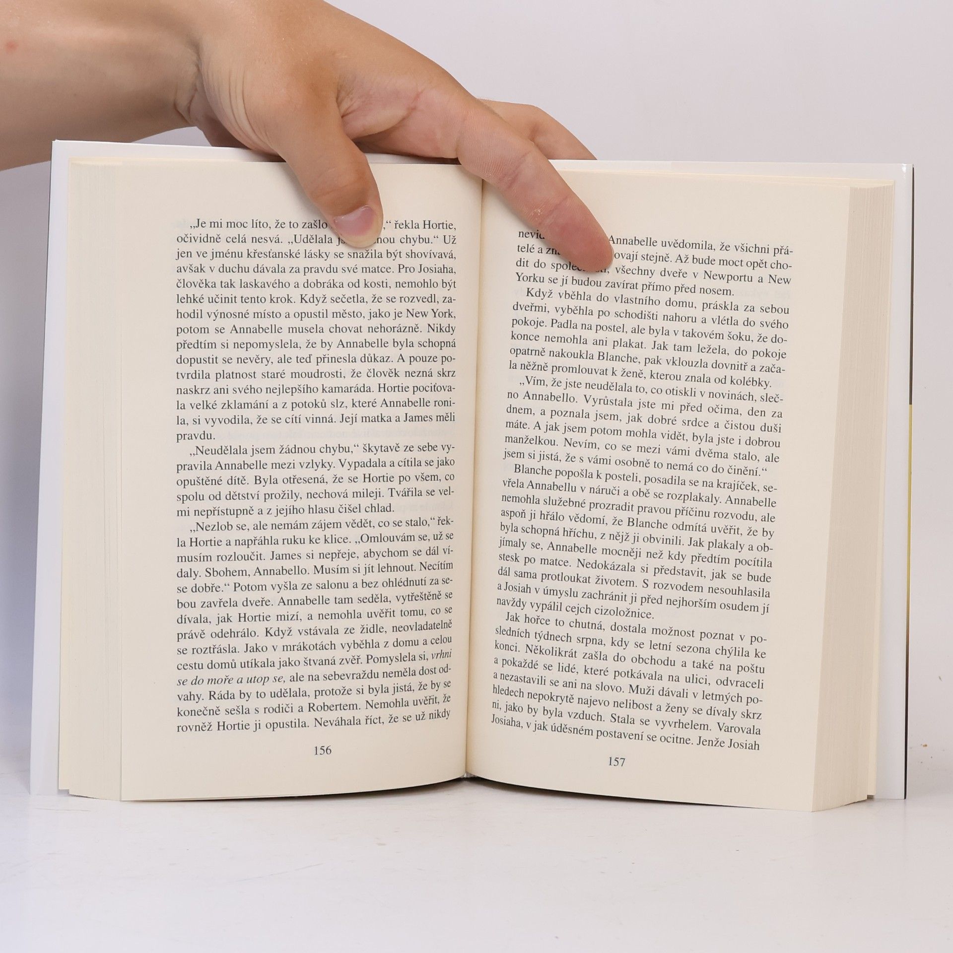 Danielle Steel Šlechetná žena
