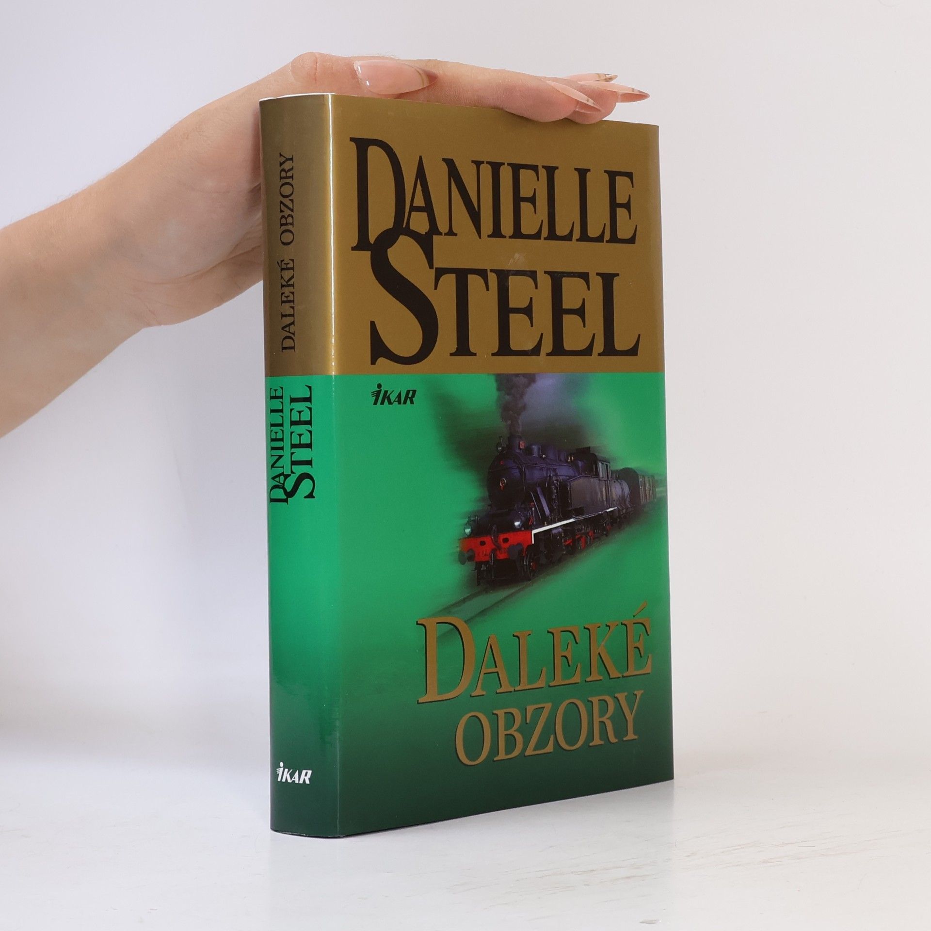 Danielle Steel Daleké obzory