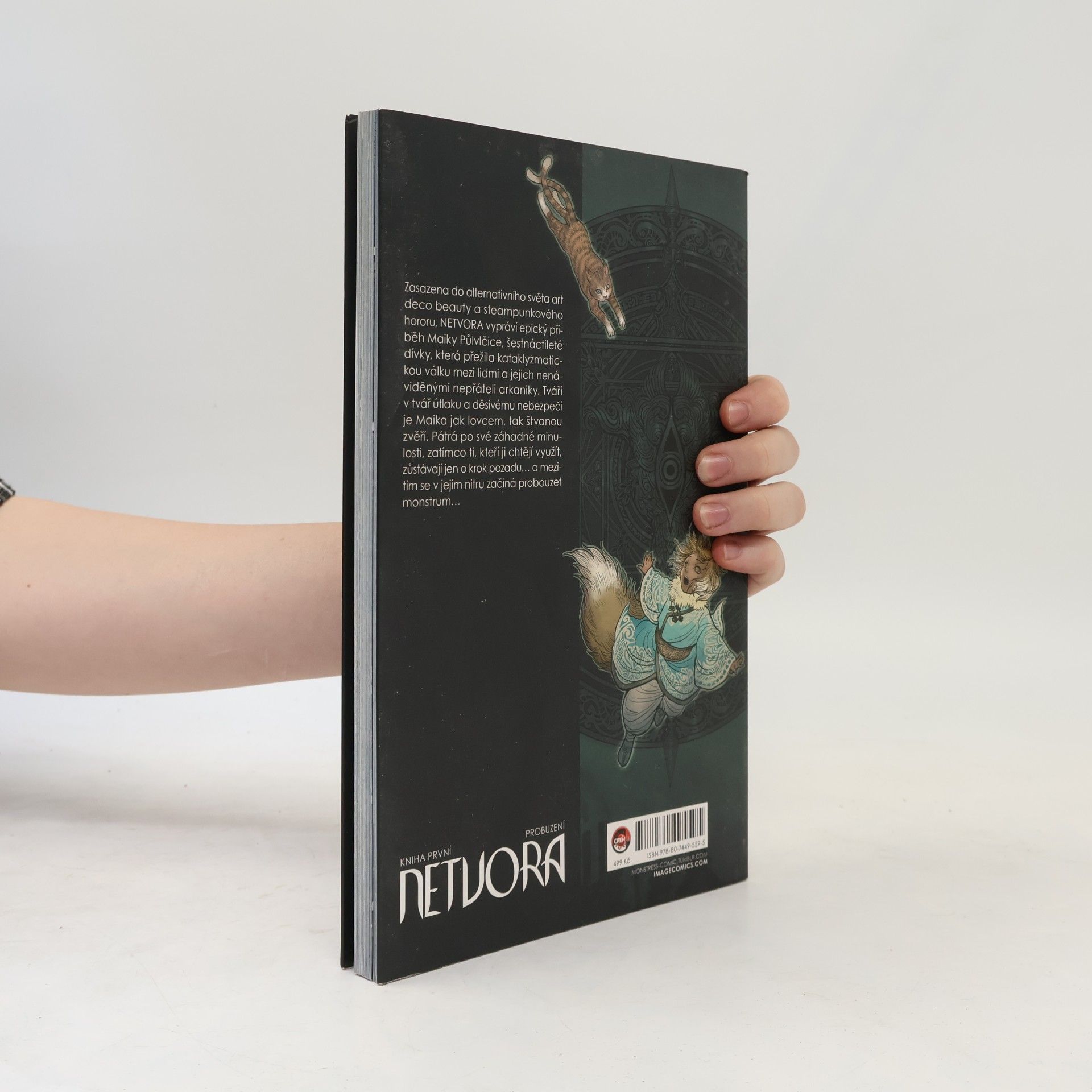 Marjorie M. Liu Netvora. Kniha první, Probuzení