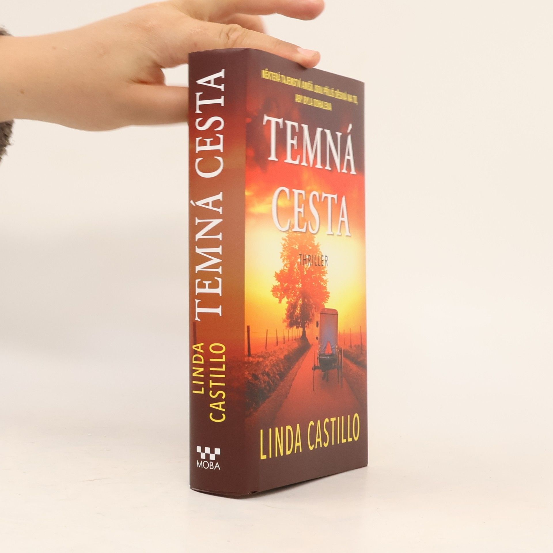 Linda Castillo Temná cesta