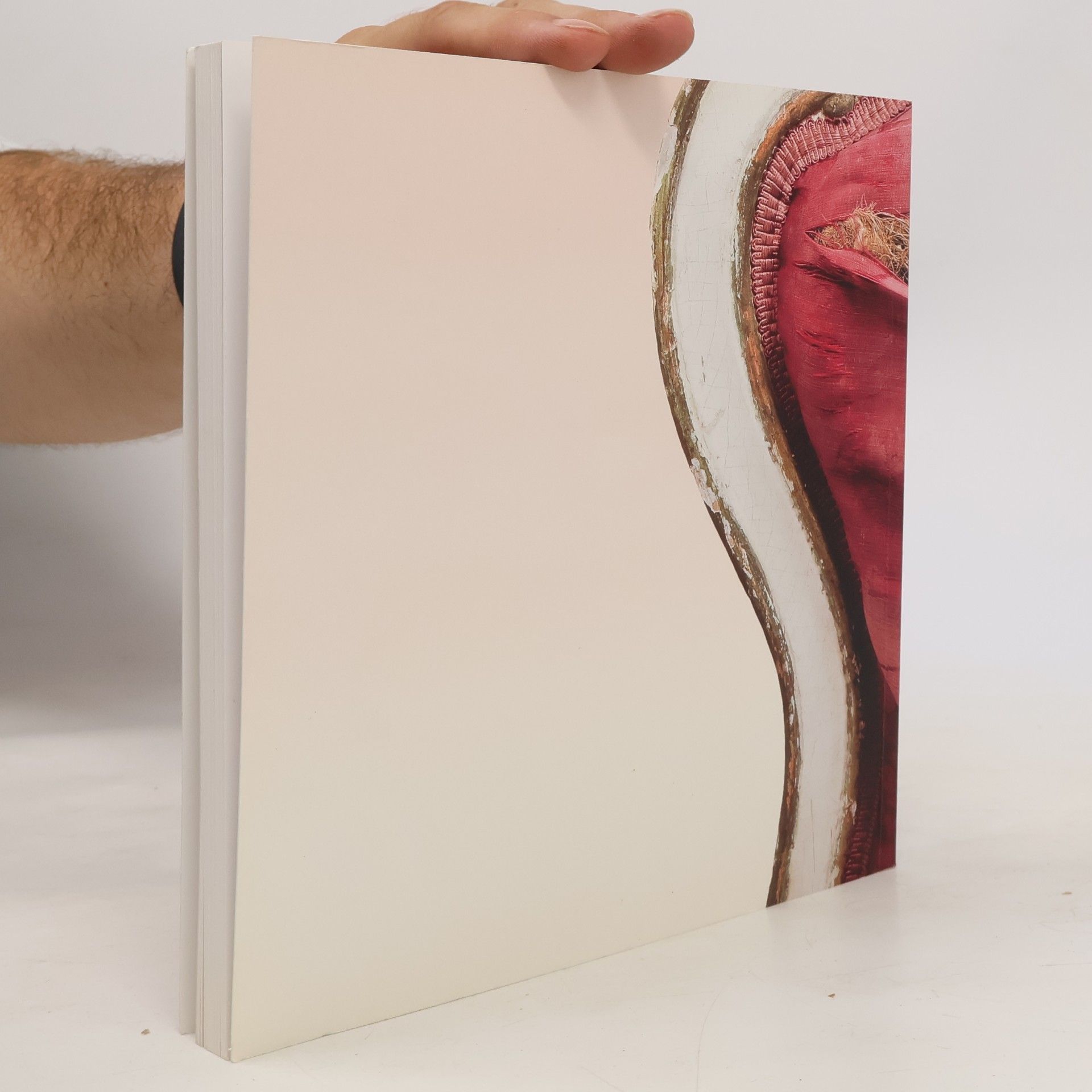 Autorenkollektiv Císařský nábytek a jeho restaurování