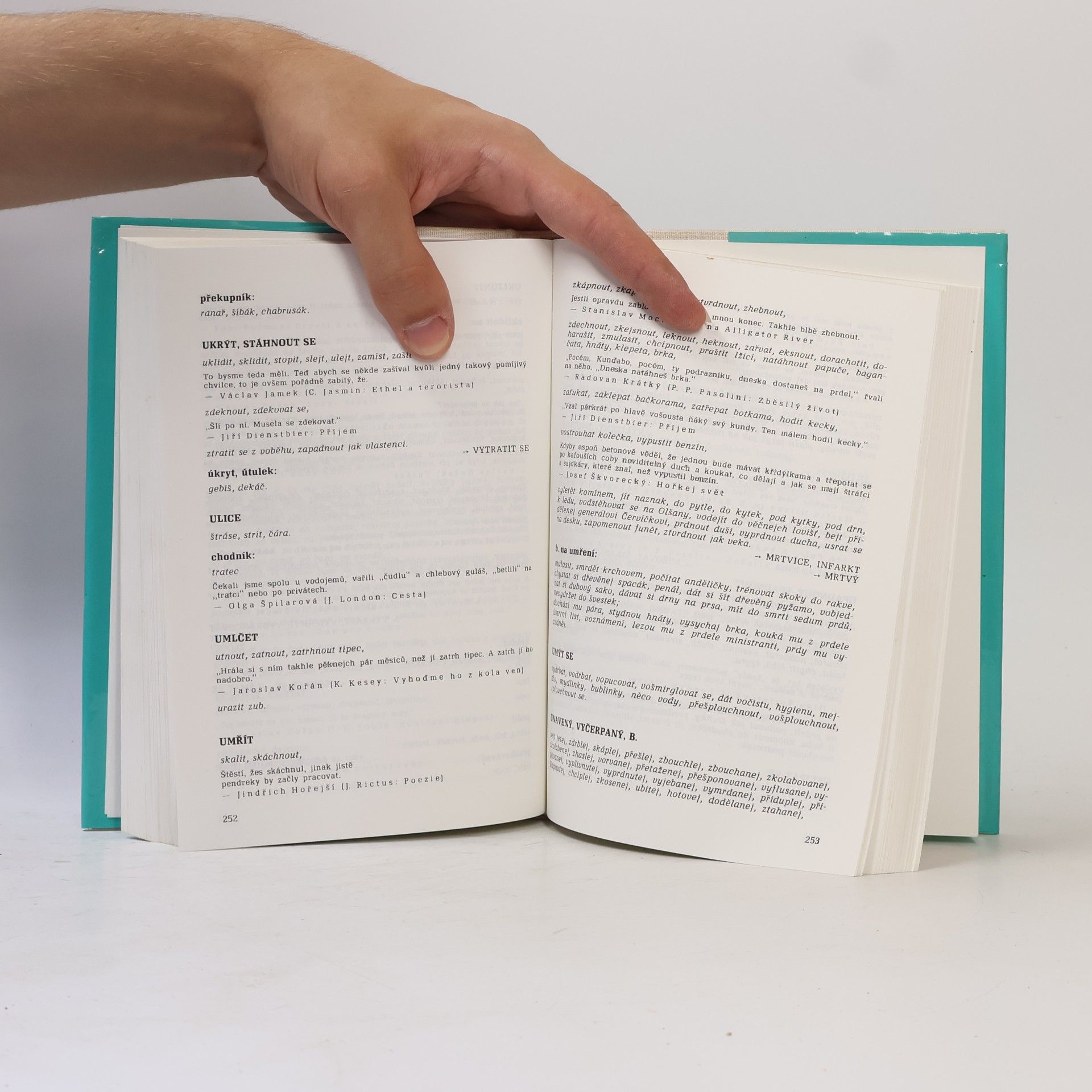 Patrik Ouředník Šmírbuch jazyka českého