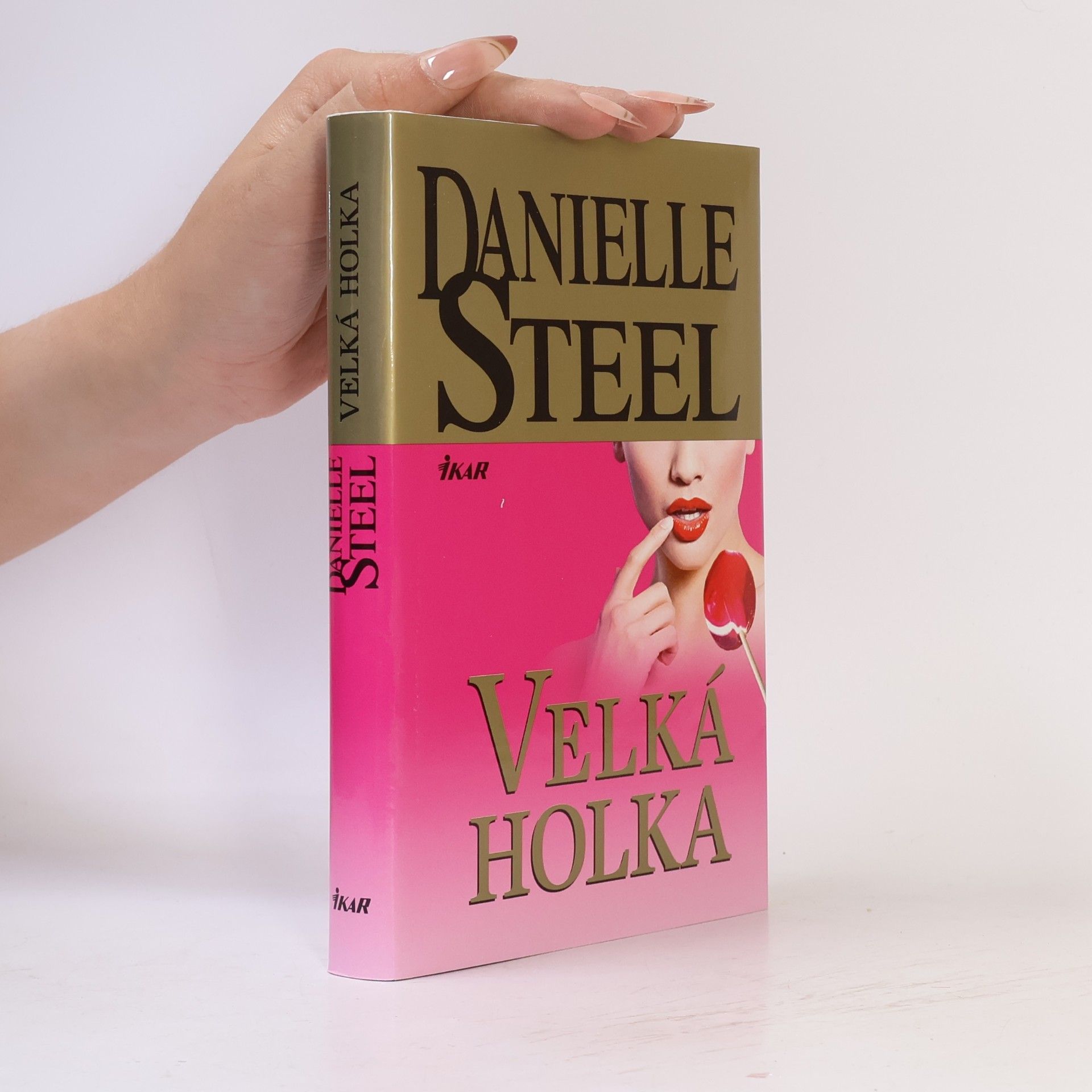 Danielle Steel Velká holka