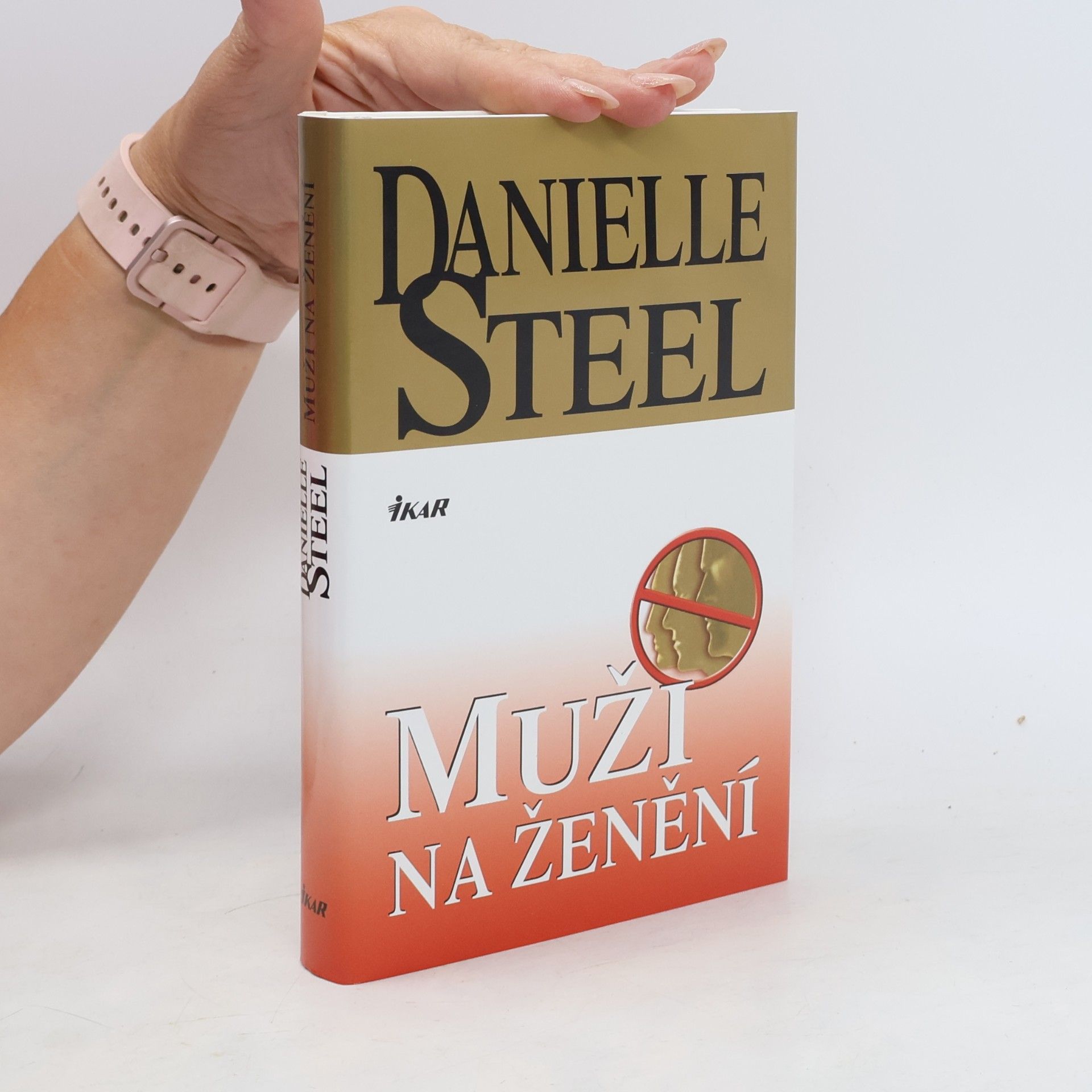 Danielle Steel Muži na ženění