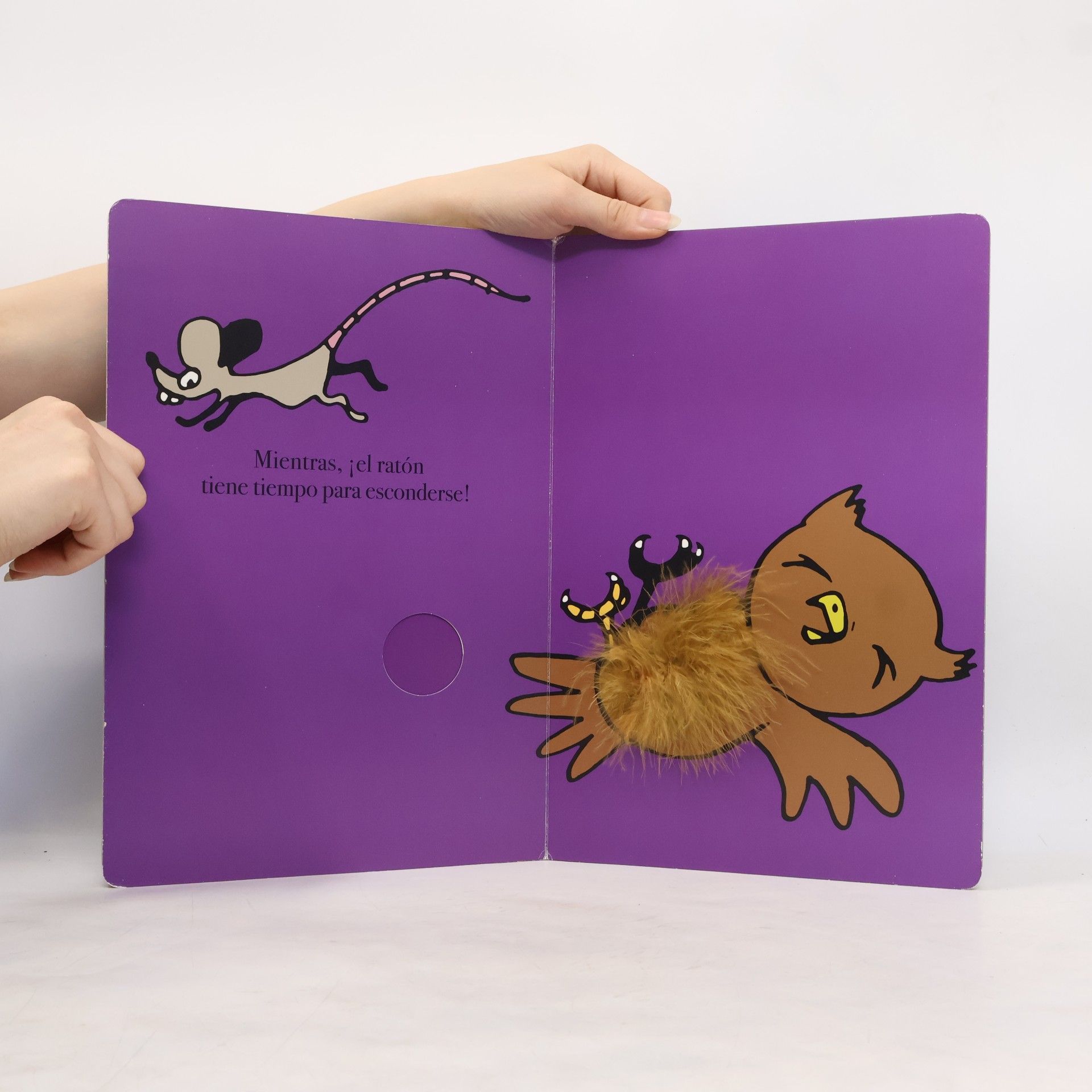 Thierry Dedieu El gran libro de las cosquillas