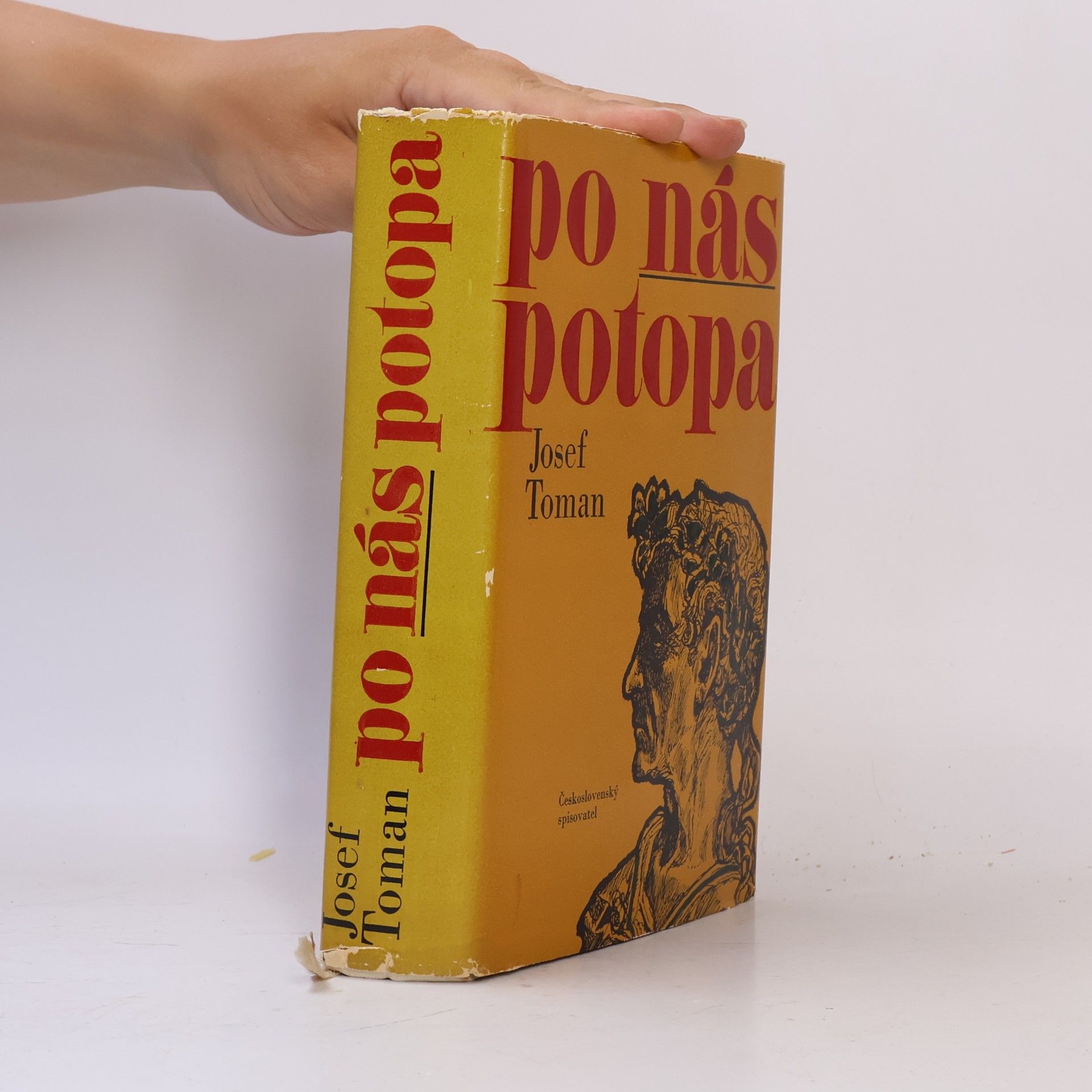 Josef Toman Po nás potopa