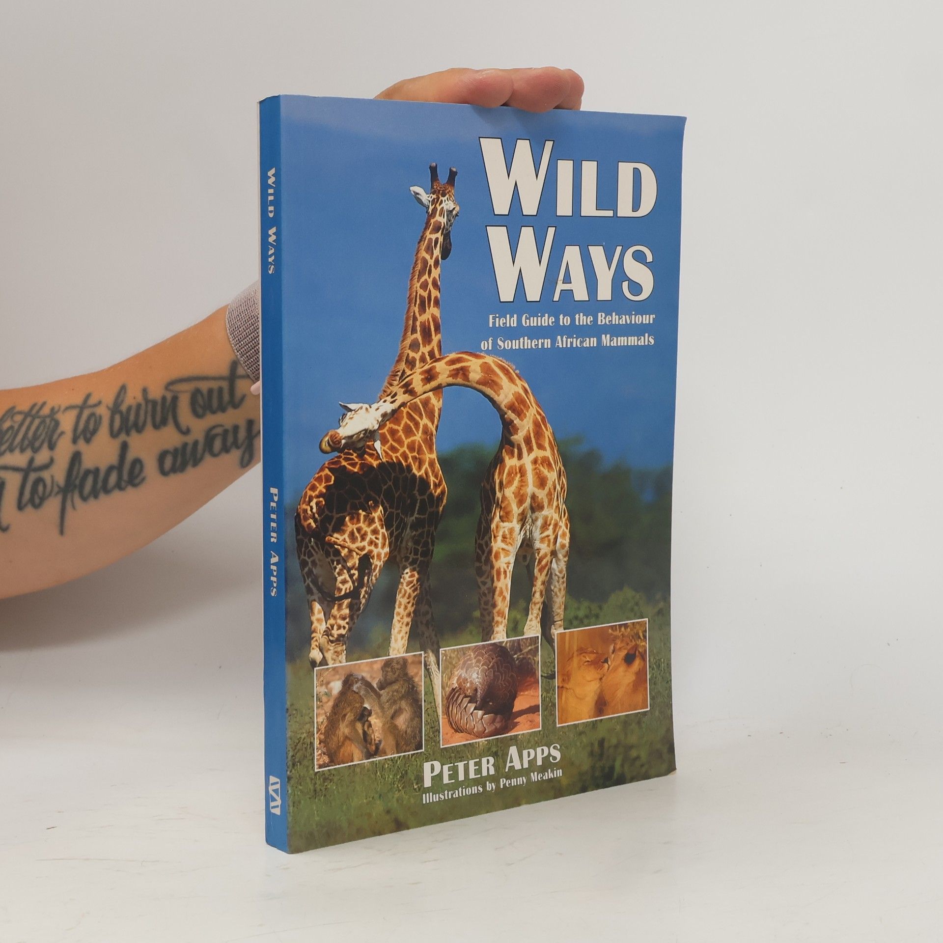 Penny Meakin Wild Ways