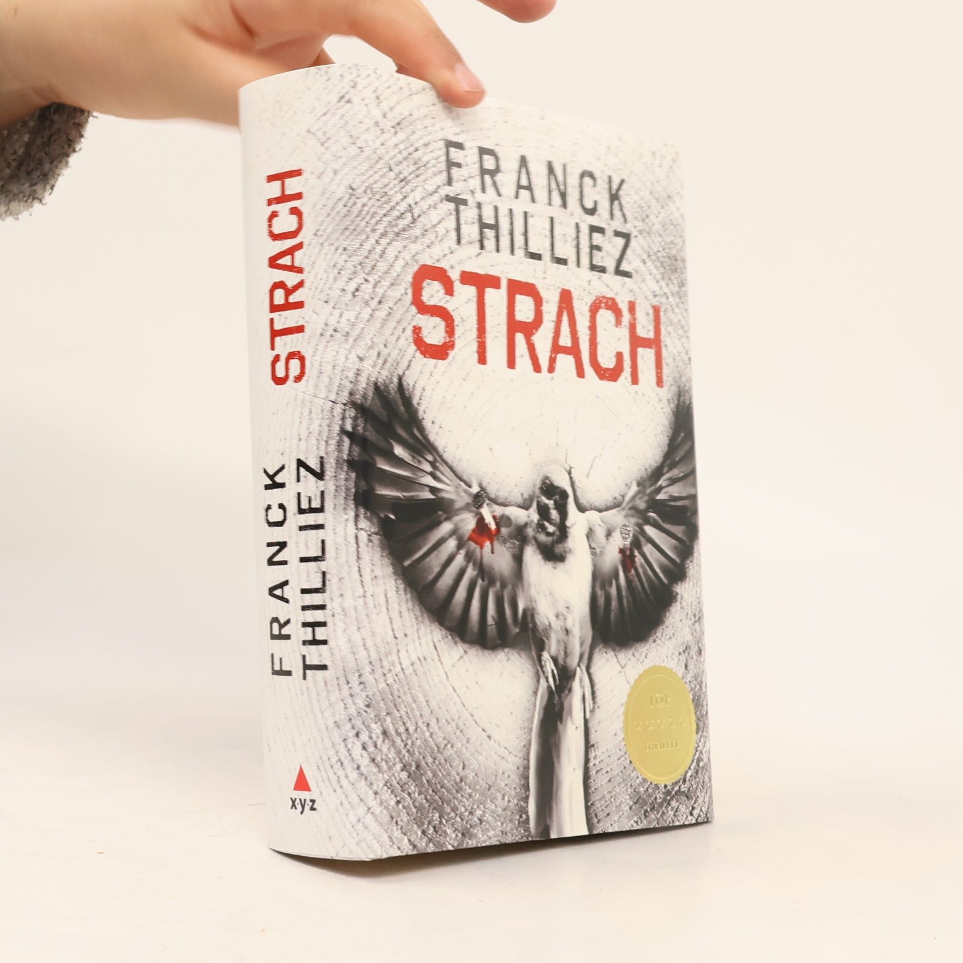 Franck Thilliez Strach