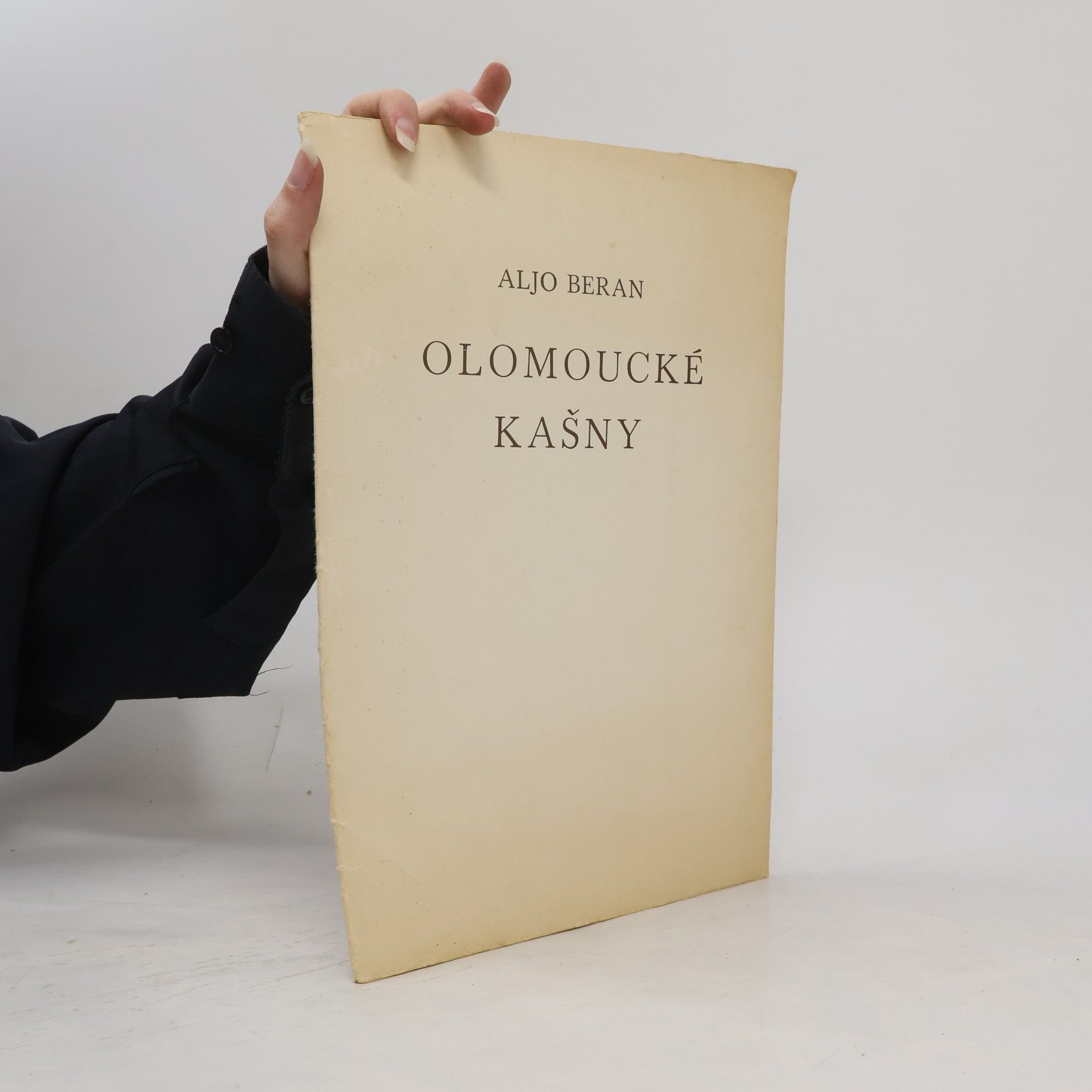 Olomoucké kašny