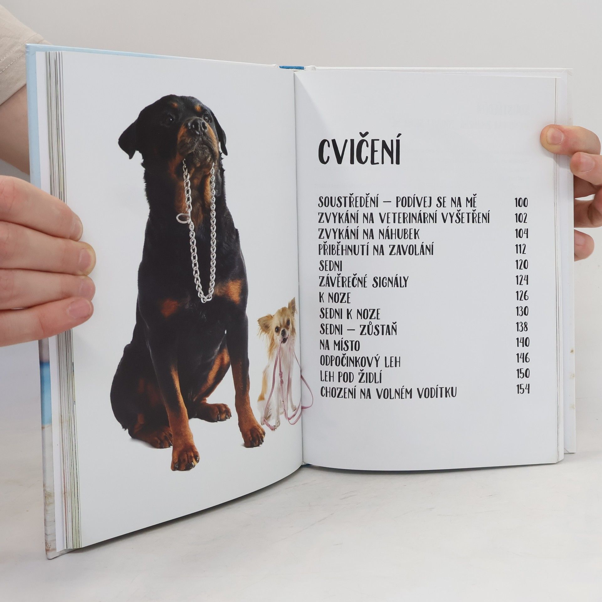 Anna Biziorek Výcvik psa od A do Z