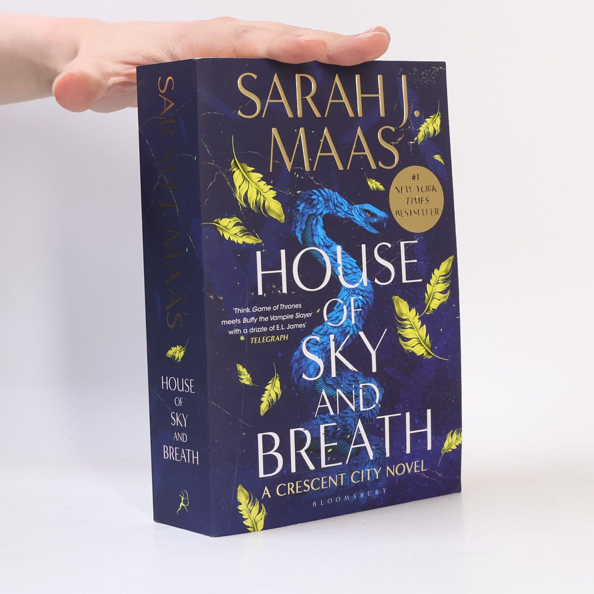 Sarah J. Maas House of Sky and Breath