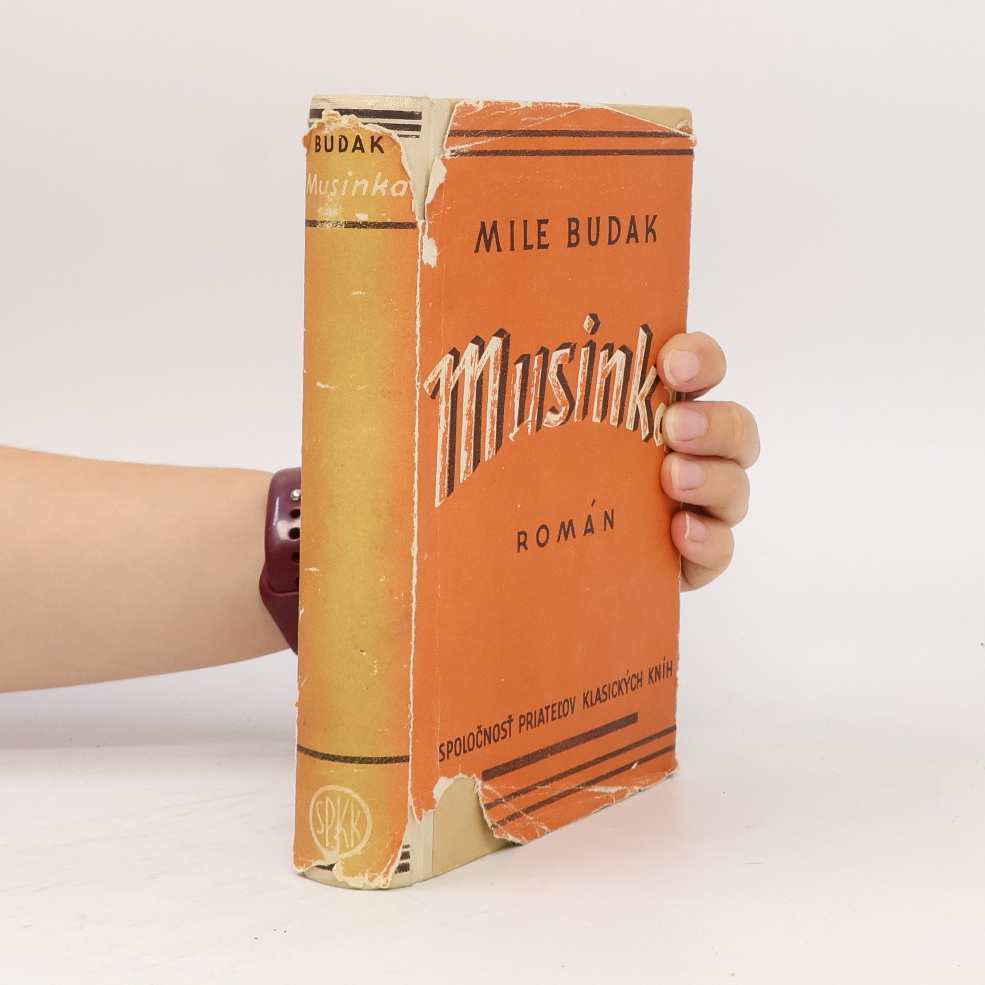 Mile Budak Musinka
