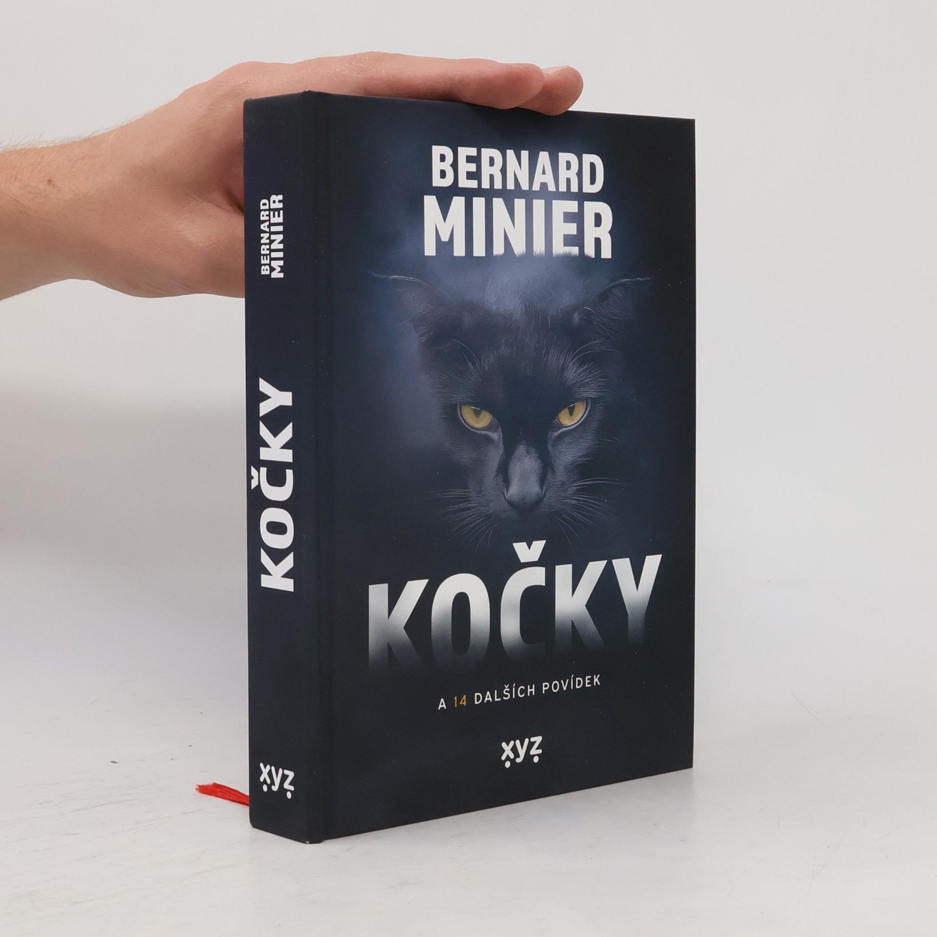 Bernard Minier Kočky