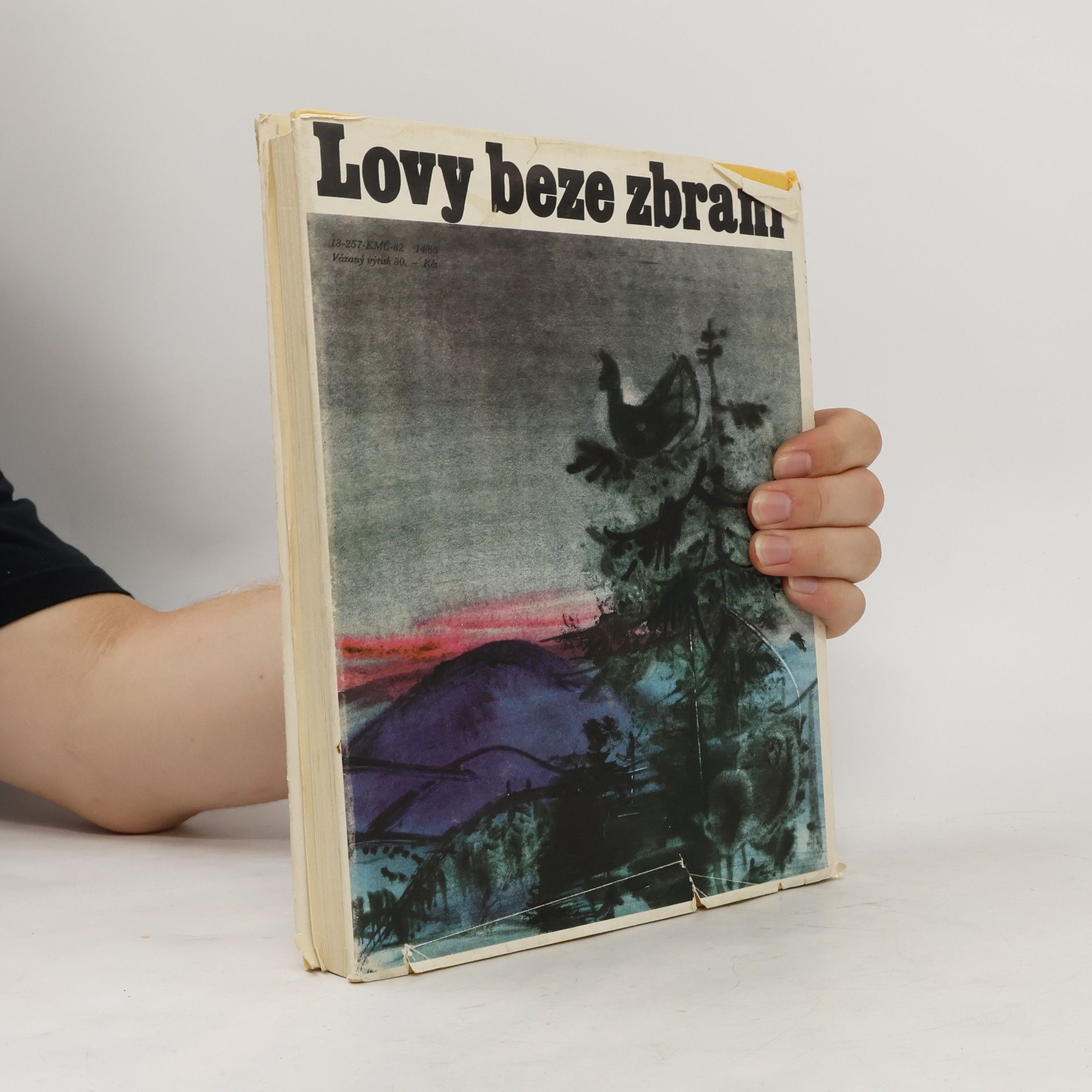 Jaromír Tomeček Lovy beze zbraní