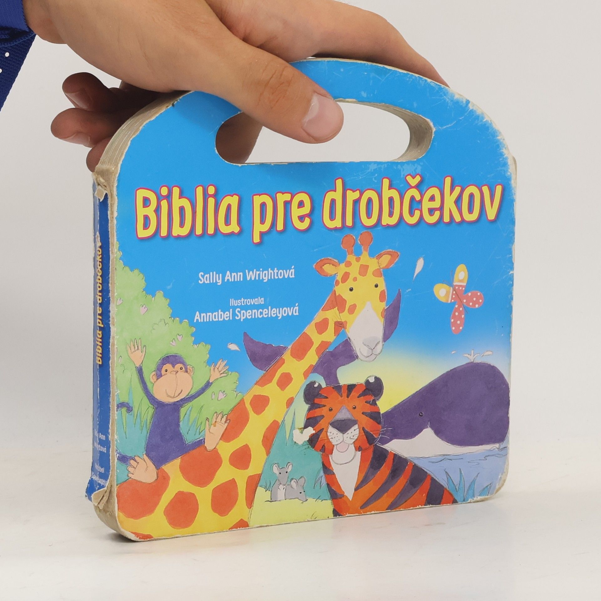Sally Ann Wright Biblia pre drobčekov - modrá