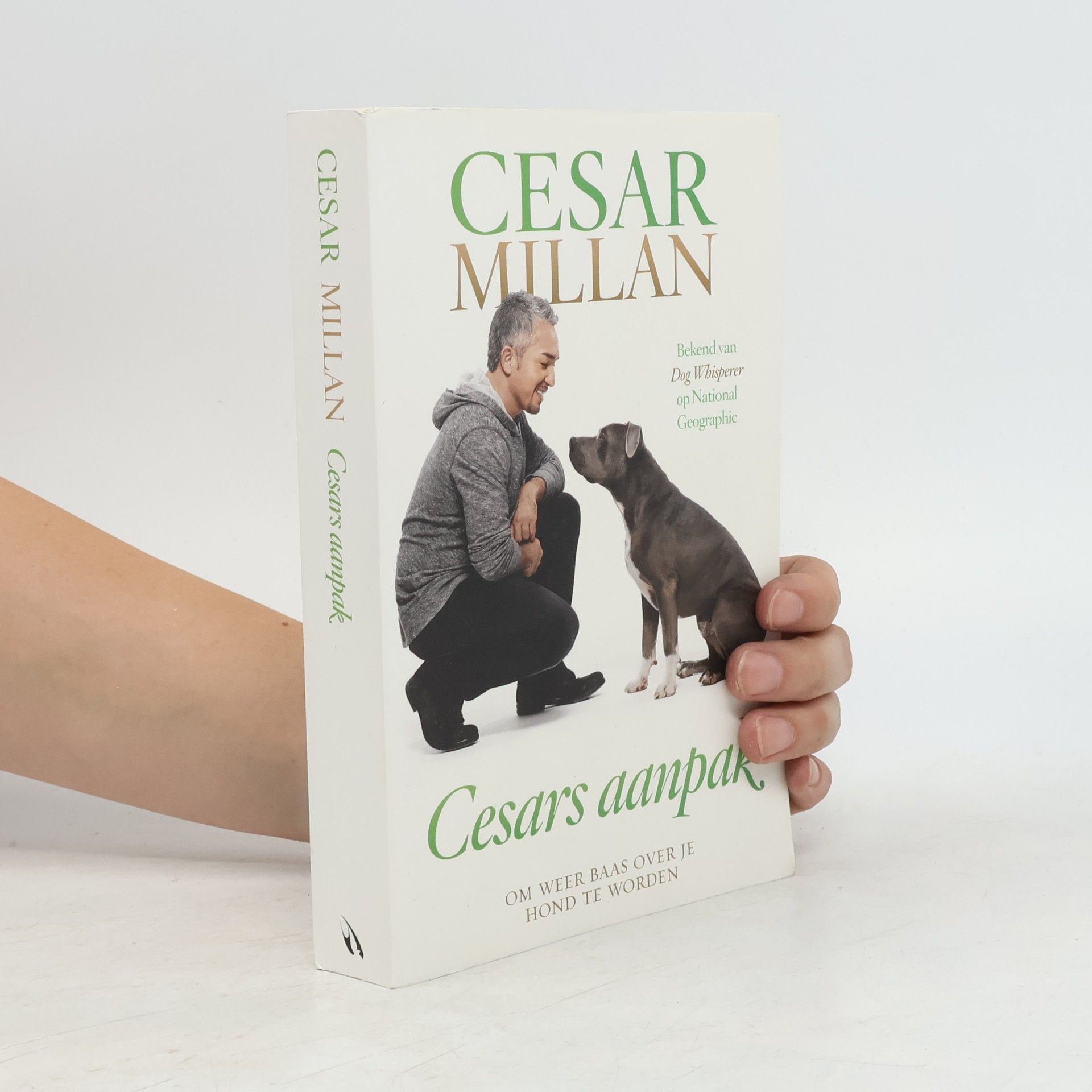 Cesars aanpak