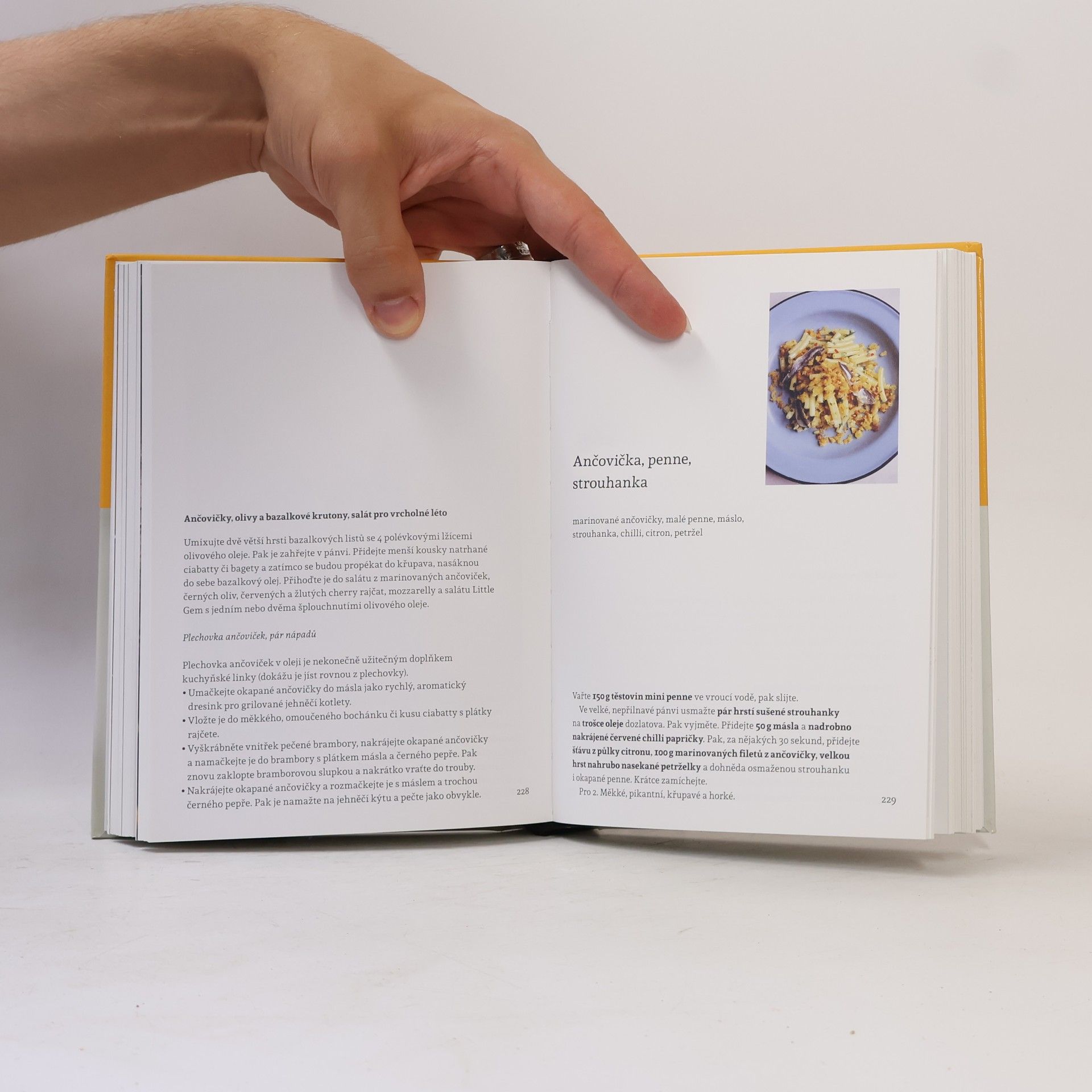 Nigel Slater Jídlo: Malá kniha o rychlém jídle