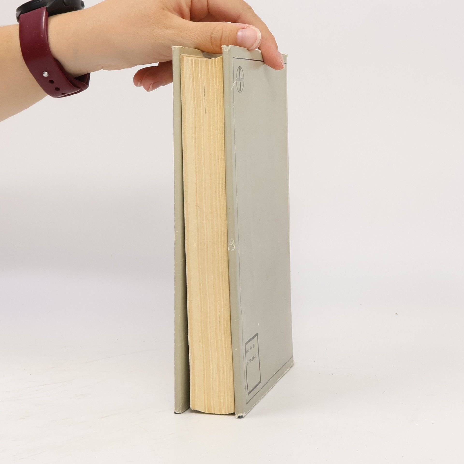 Yasunari Kawabata Spiace krásavice
