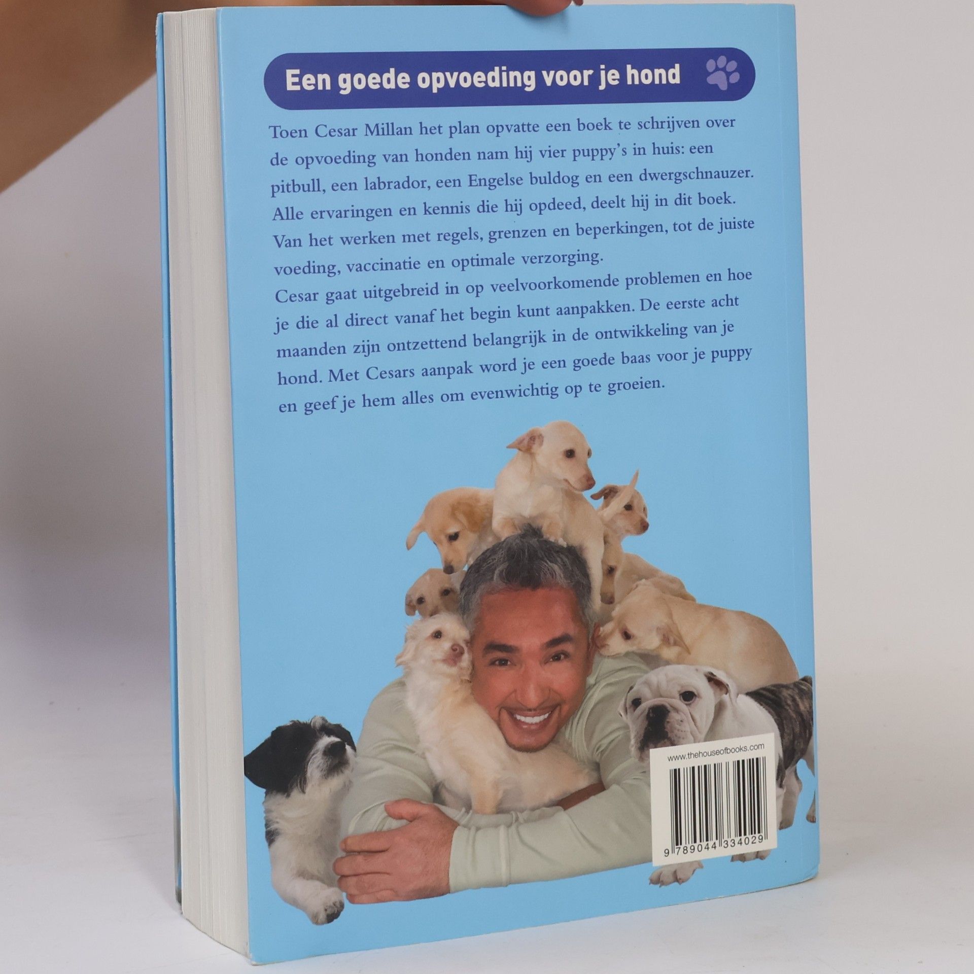Cesar Millan Cesars aanpak voor puppy's