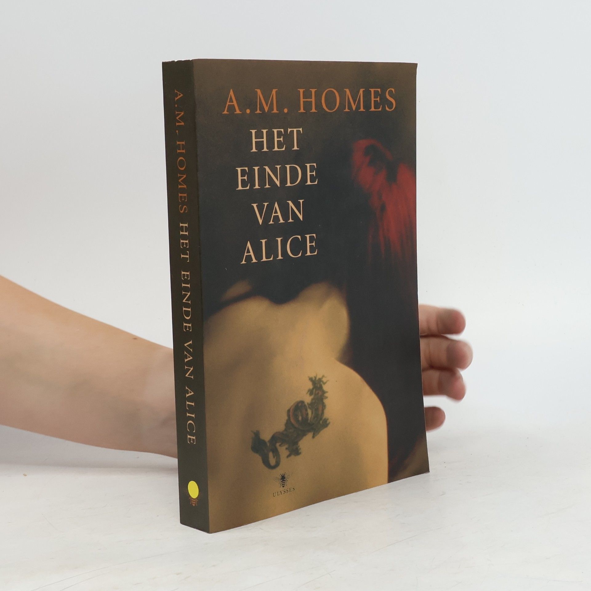 Amy Michael Homes Het einde van Alice
