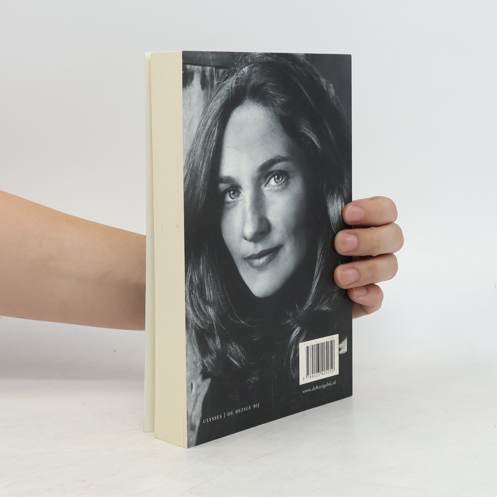 Amy Michael Homes Het einde van Alice