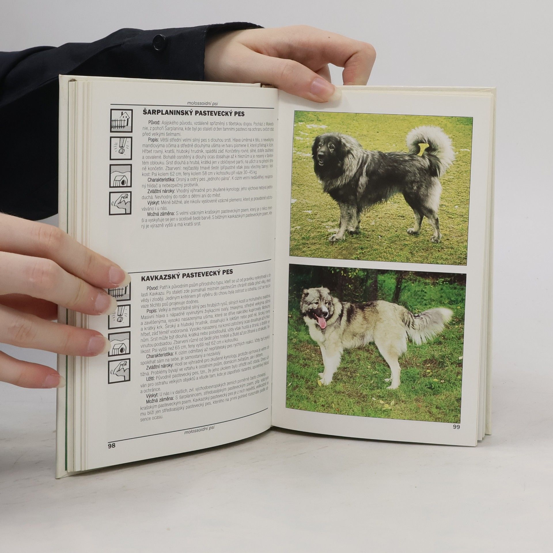 Lea Smrčková Kapesní atlas psů