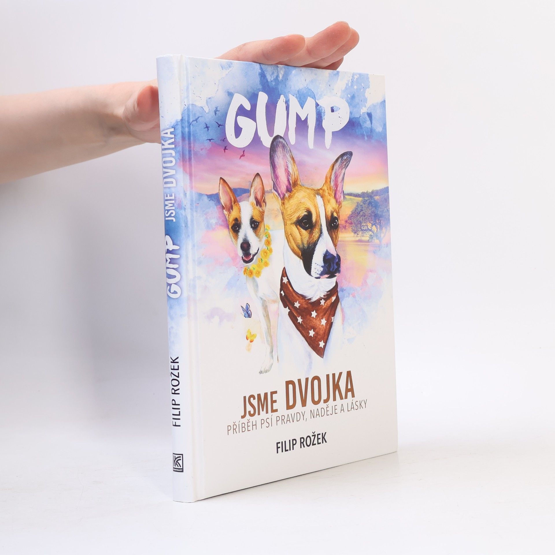 Filip Rožek Gump jsme dvojka: Příběh psí pravdy, naděje a lásky