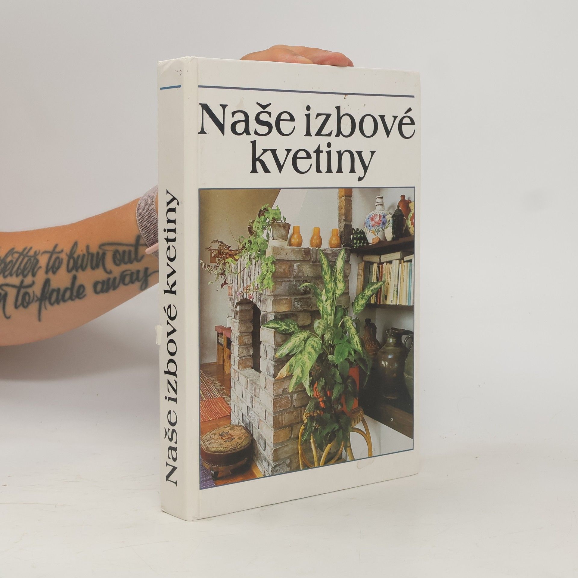 Lajos Lelkes Naše izbové kvetiny