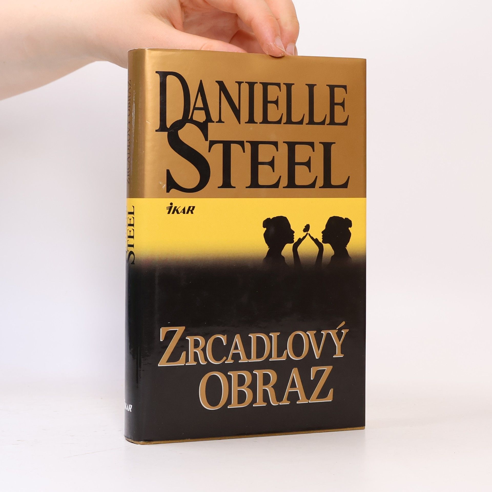 Danielle Steel Zrcadlový obraz